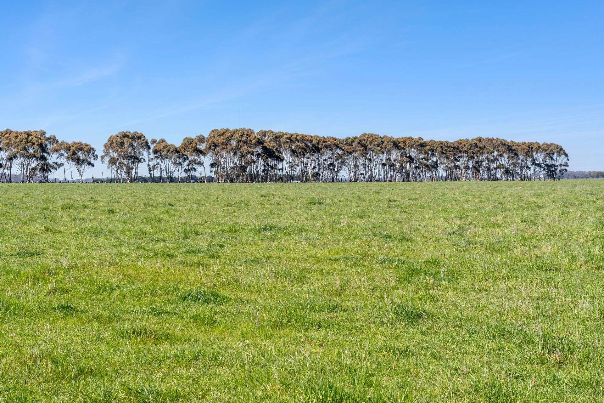 416 Mortlake-Ararat Road, Mortlake For Sale by Farmbuy.com - image 3