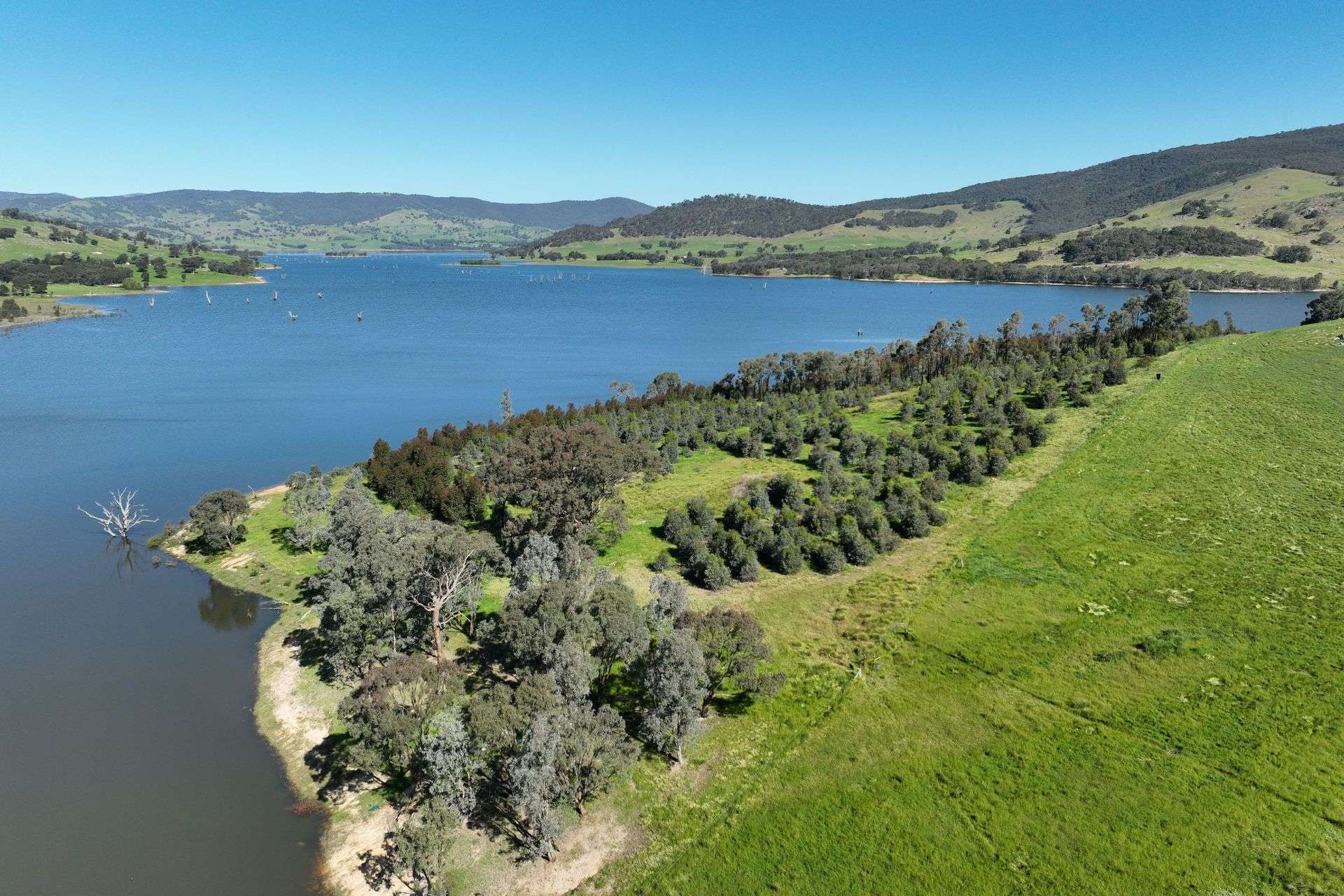 2312 Wymah Road, Wymah For Sale by Farmbuy.com - image 2