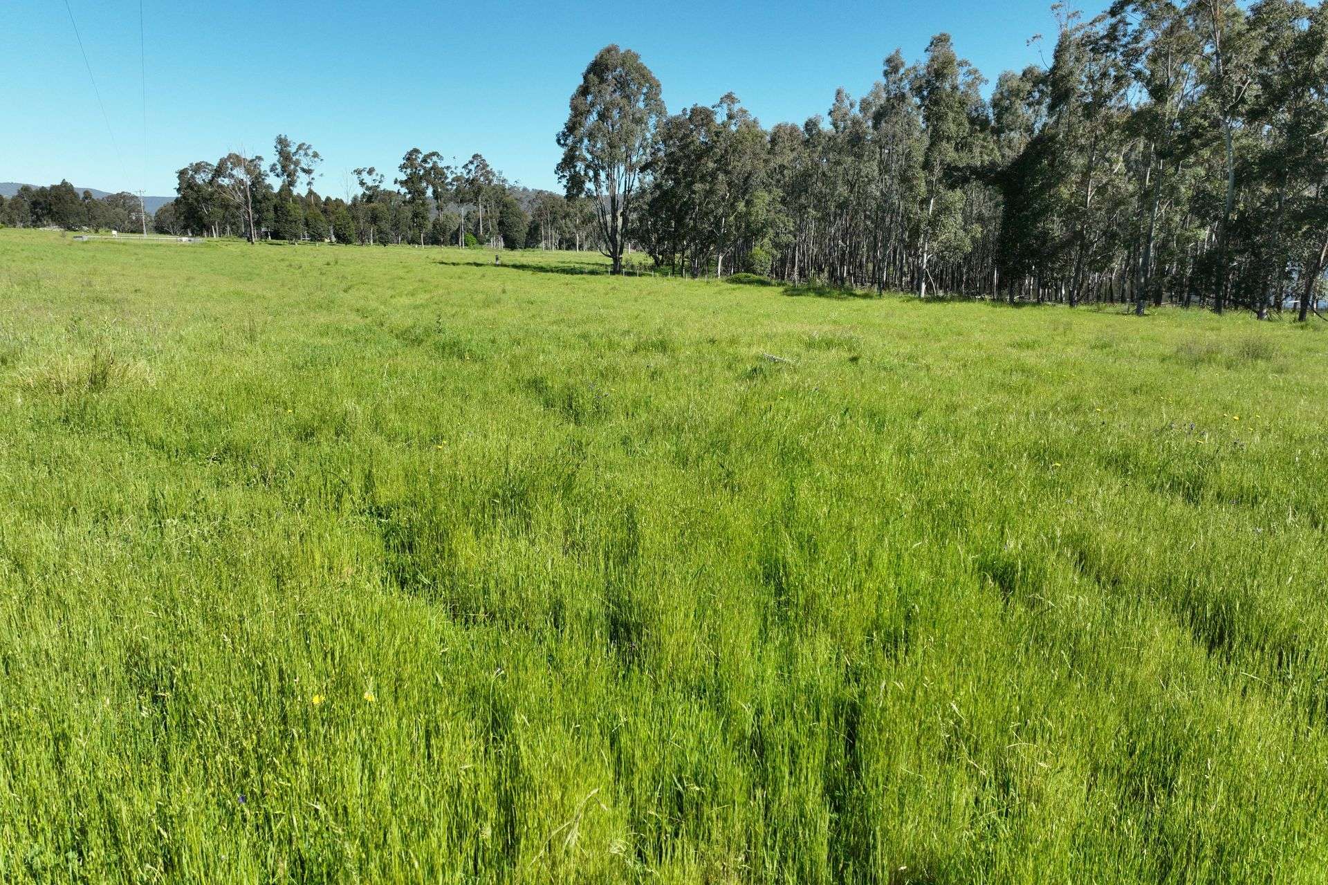 2312 Wymah Road, Wymah For Sale by Farmbuy.com - image 22