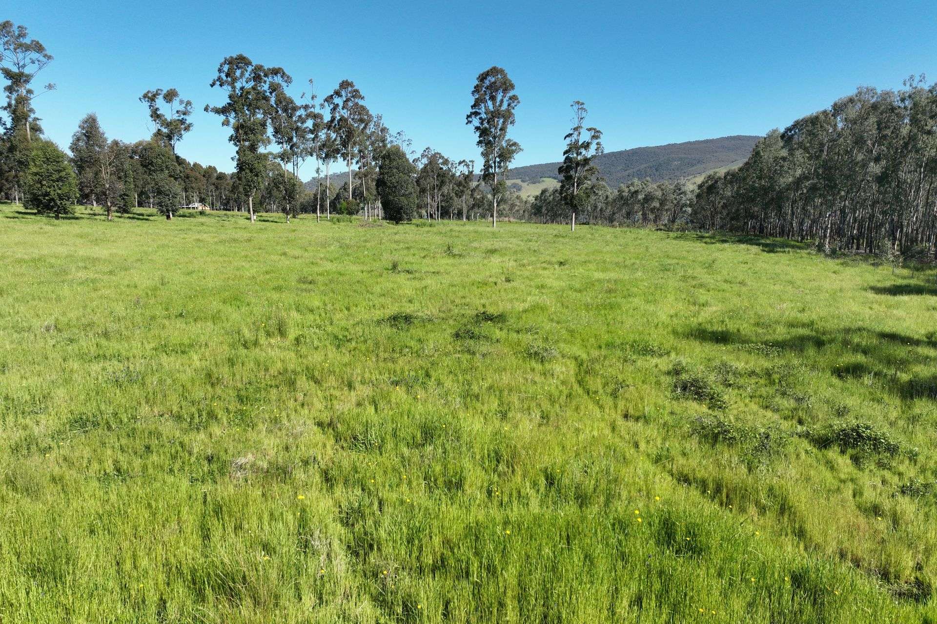 2312 Wymah Road, Wymah For Sale by Farmbuy.com - image 17