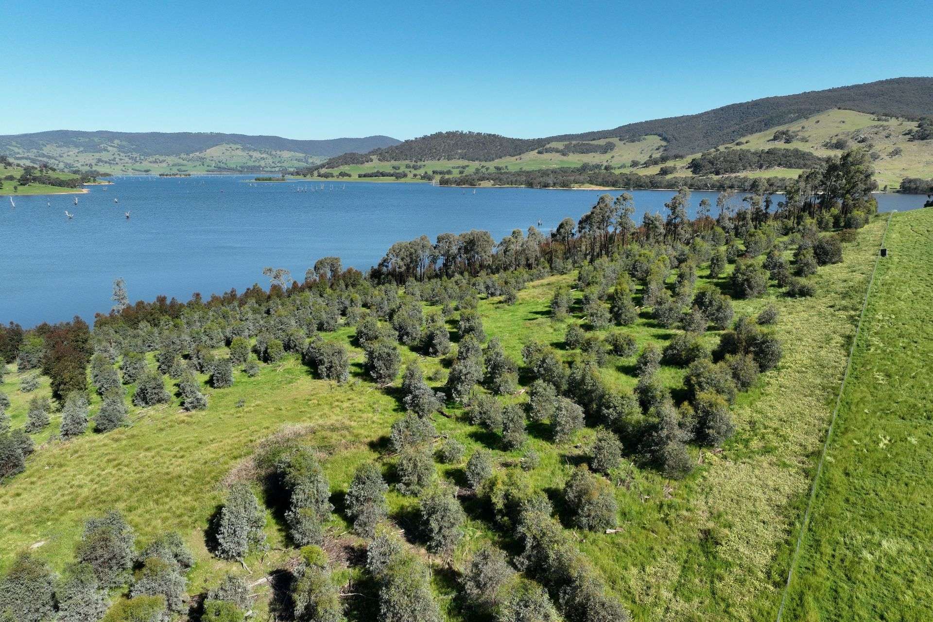 2312 Wymah Road, Wymah For Sale by Farmbuy.com - image 3