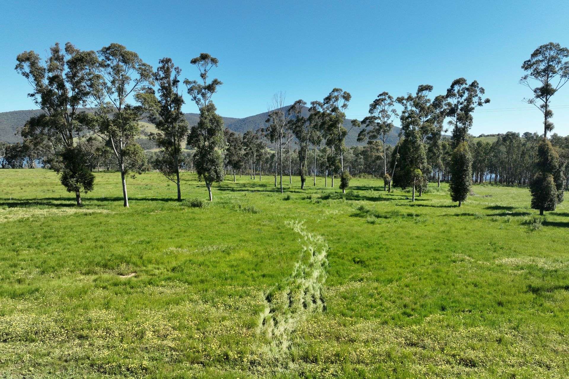 2312 Wymah Road, Wymah For Sale by Farmbuy.com - image 21