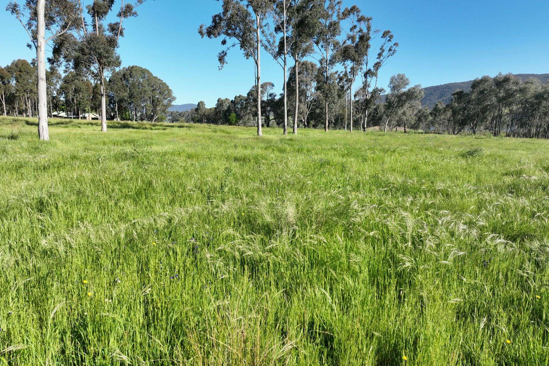 2312 Wymah Road, Wymah For Sale by Farmbuy.com - image 20