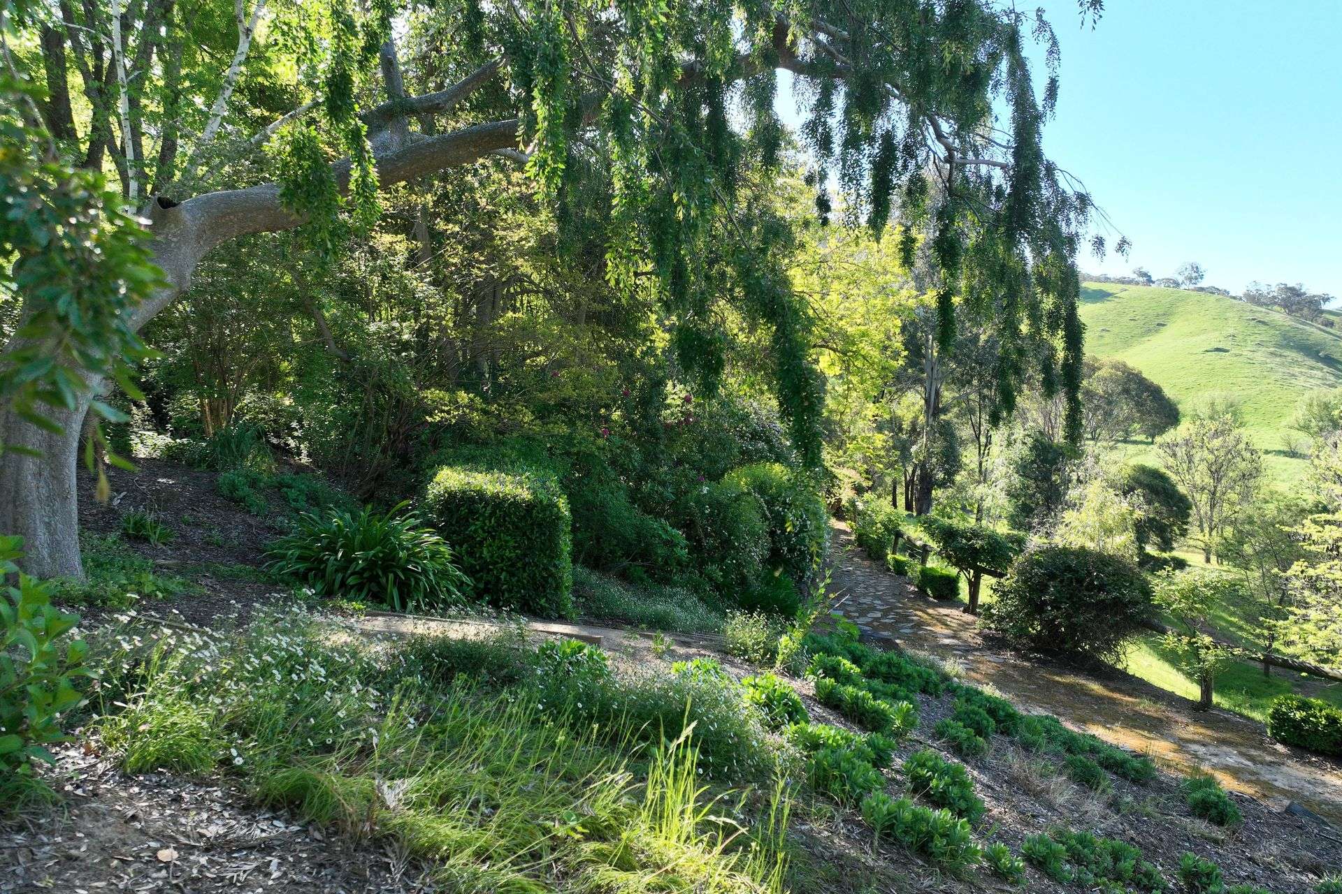 95 Jingellic Road, Jingellic Auction by Farmbuy.com - image 17