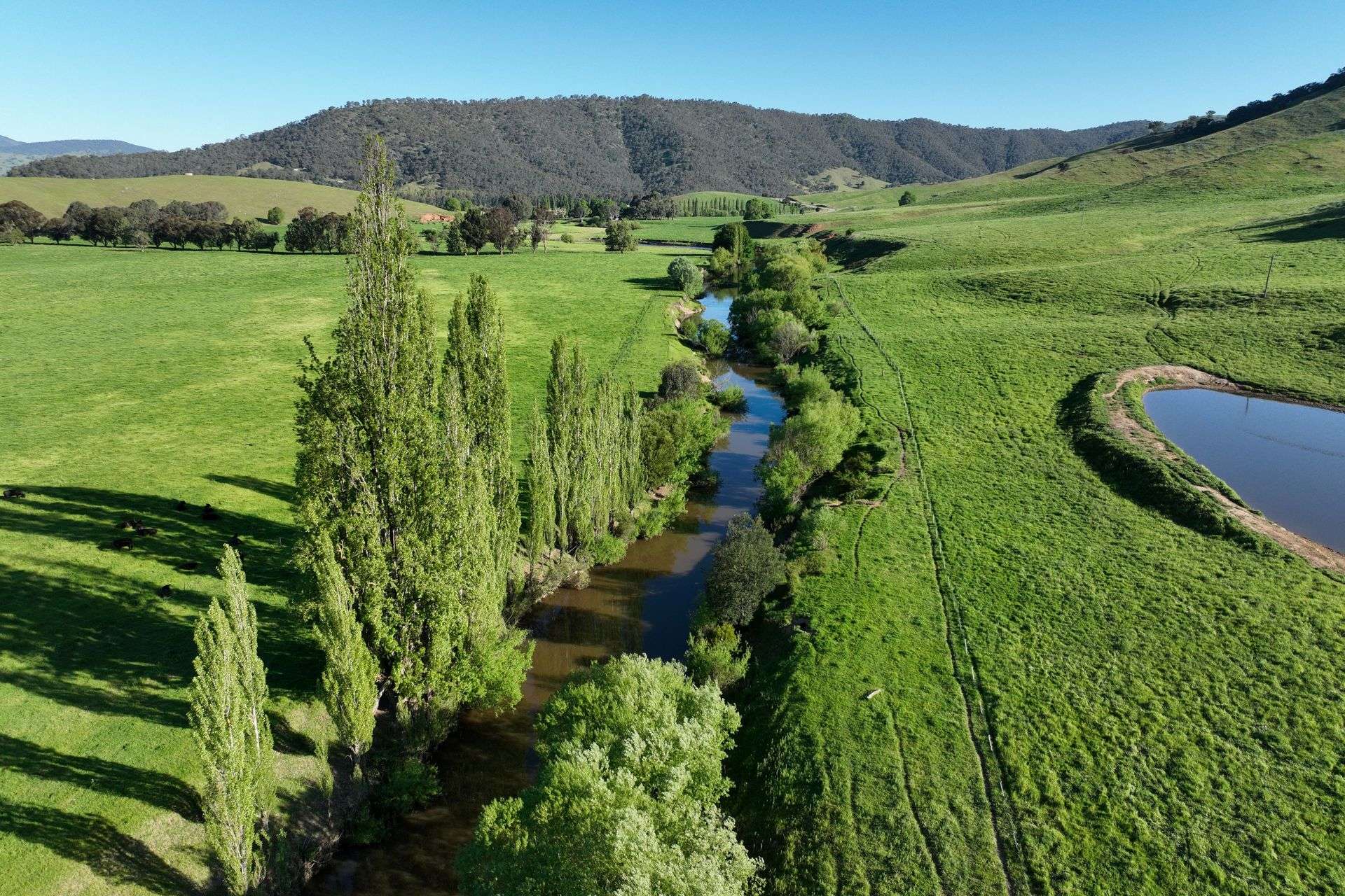 95 Jingellic Road, Jingellic Auction by Farmbuy.com - image 29