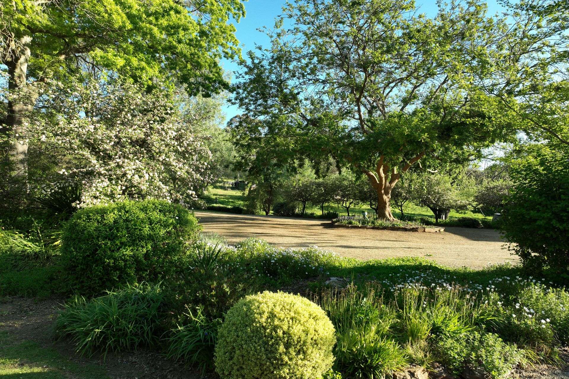 95 Jingellic Road, Jingellic Auction by Farmbuy.com - image 15