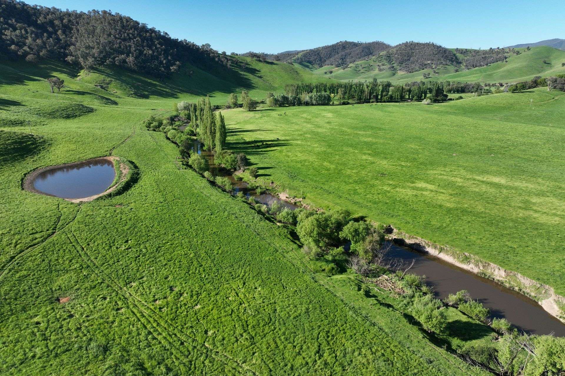95 Jingellic Road, Jingellic Auction by Farmbuy.com - image 26