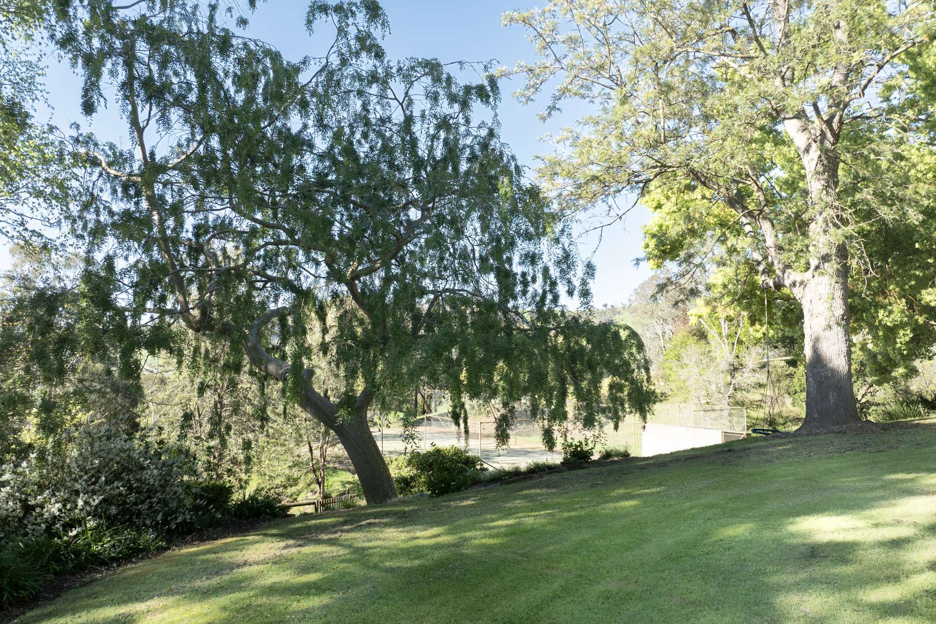 95 Jingellic Road, Jingellic Auction by Farmbuy.com - image 18