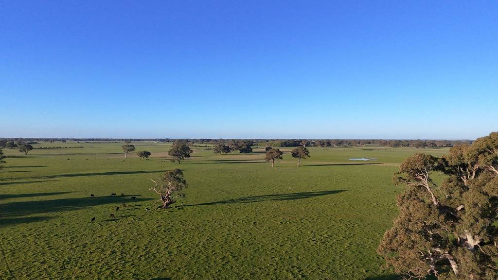 Lots 50 & 51 Old Kalangadoo Road, Penola SA 5277