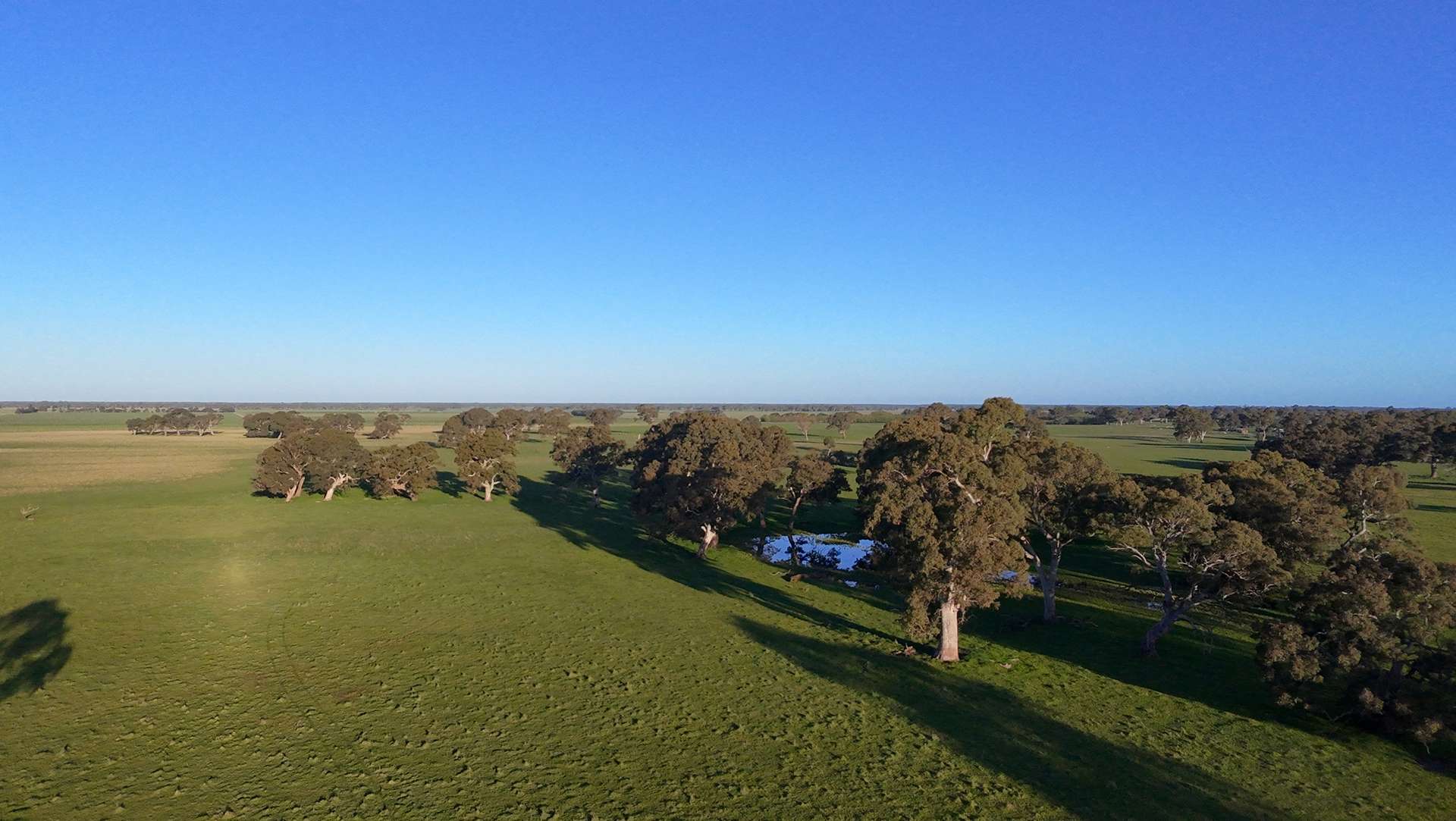Lots 50 & 51 Old Kalangadoo Road, Penola Auction by Farmbuy.com - image 4