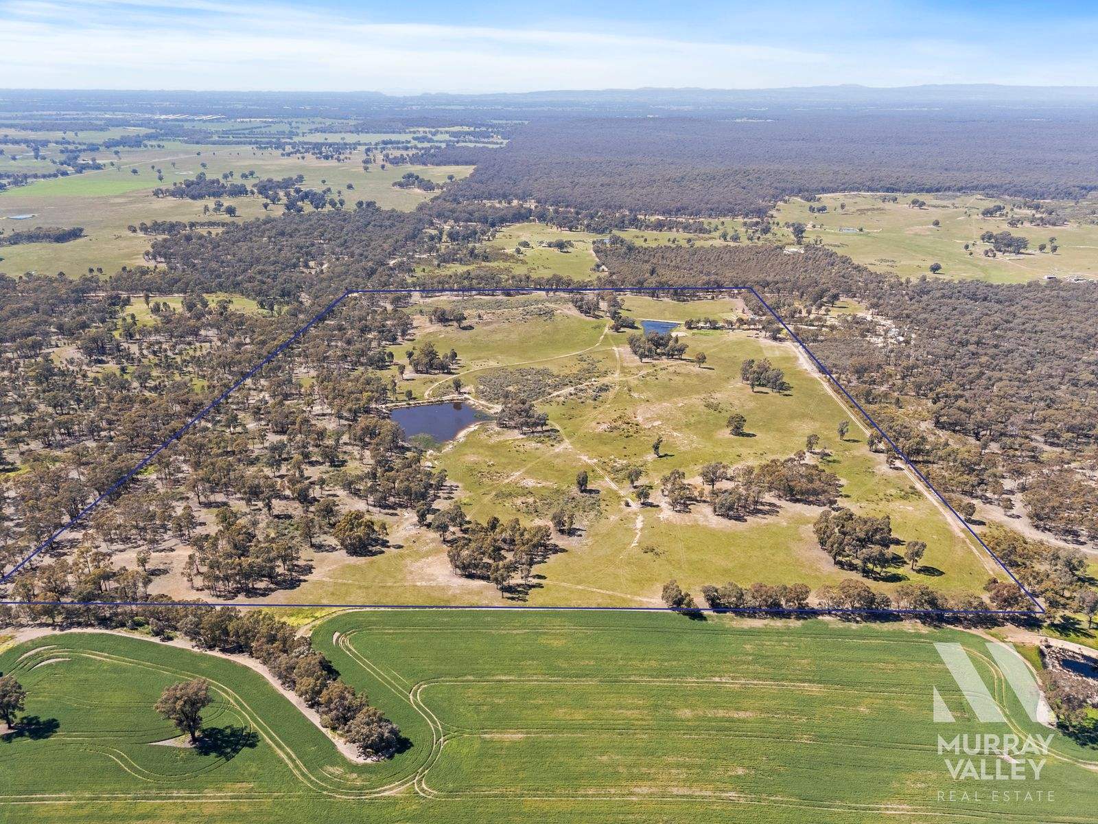 417 Forest Road, Boweya North For Sale by Farmbuy.com - image 2
