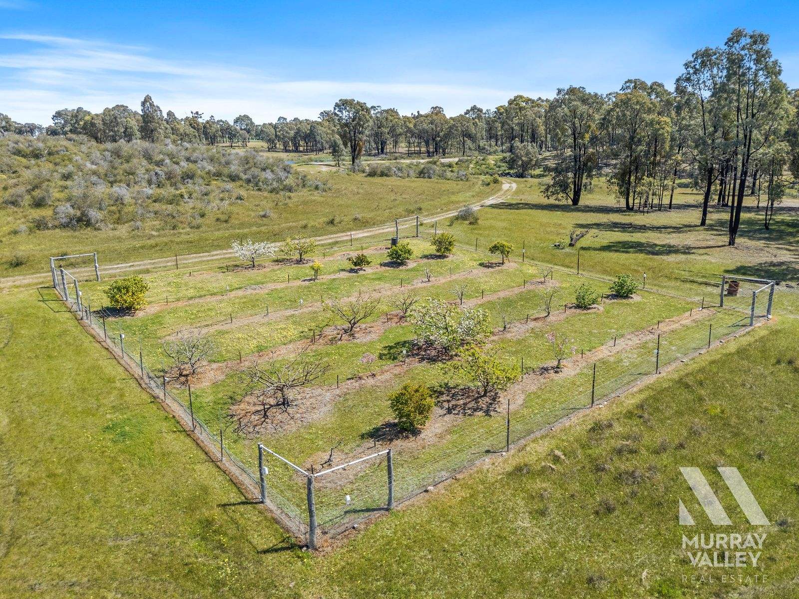 417 Forest Road, Boweya North For Sale by Farmbuy.com - image 20