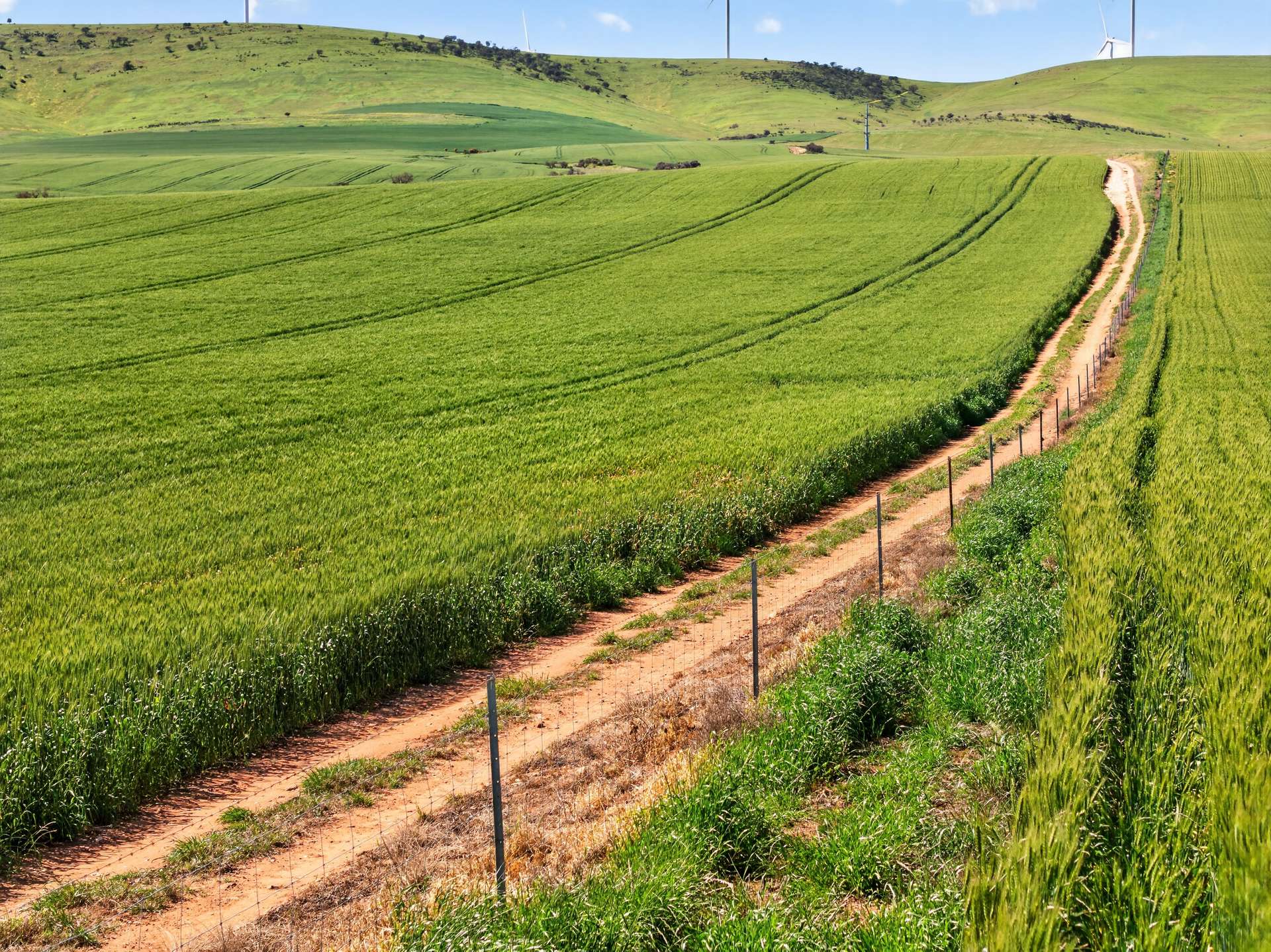 'Sharpes Well' Ireland Road, Mundoora For Sale by Farmbuy.com - image 3