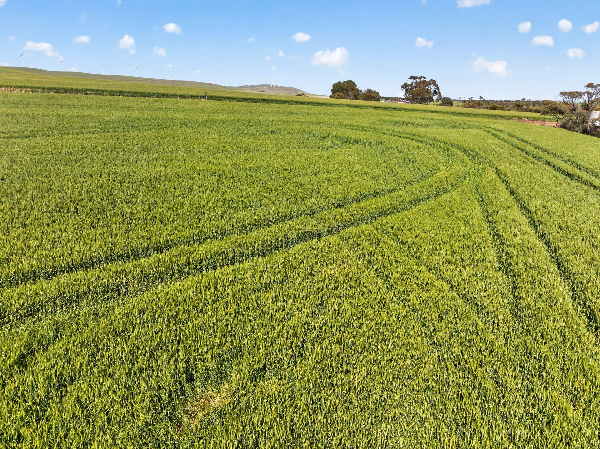 'Sharpes Well' Ireland Road, Mundoora For Sale by Farmbuy.com - image 11