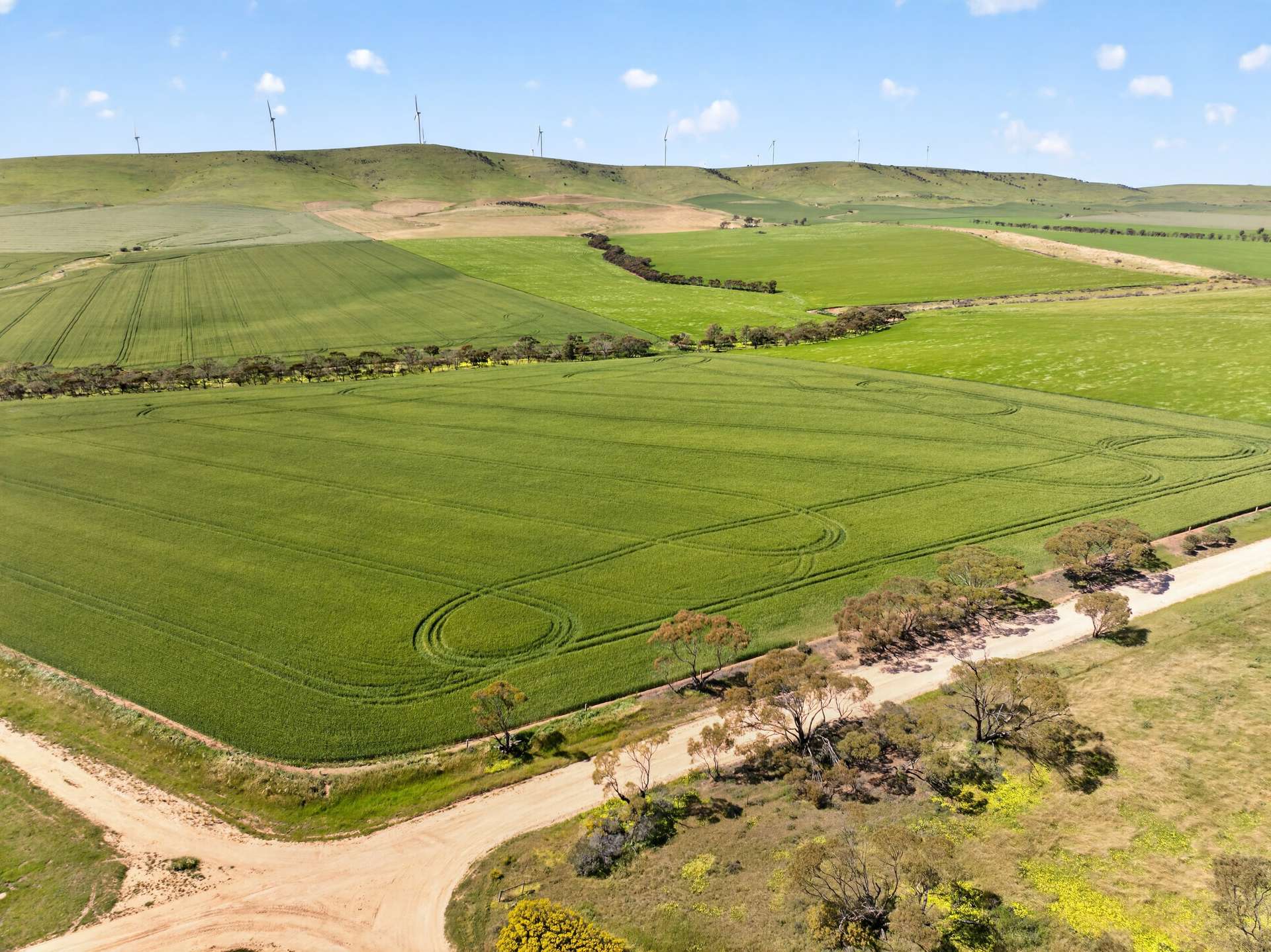 'Sharpes Well' Ireland Road, Mundoora For Sale by Farmbuy.com - image 14