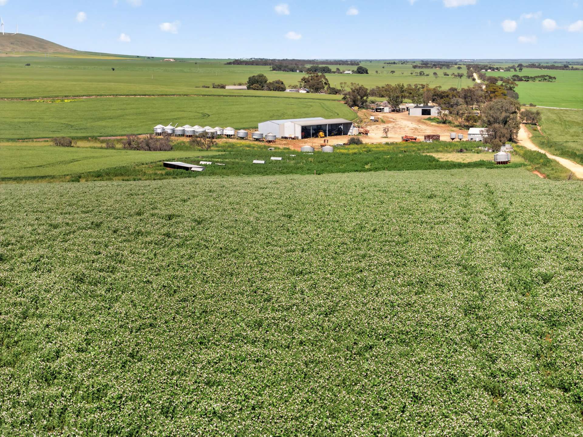 'Sharpes Well' Ireland Road, Mundoora For Sale by Farmbuy.com - image 8