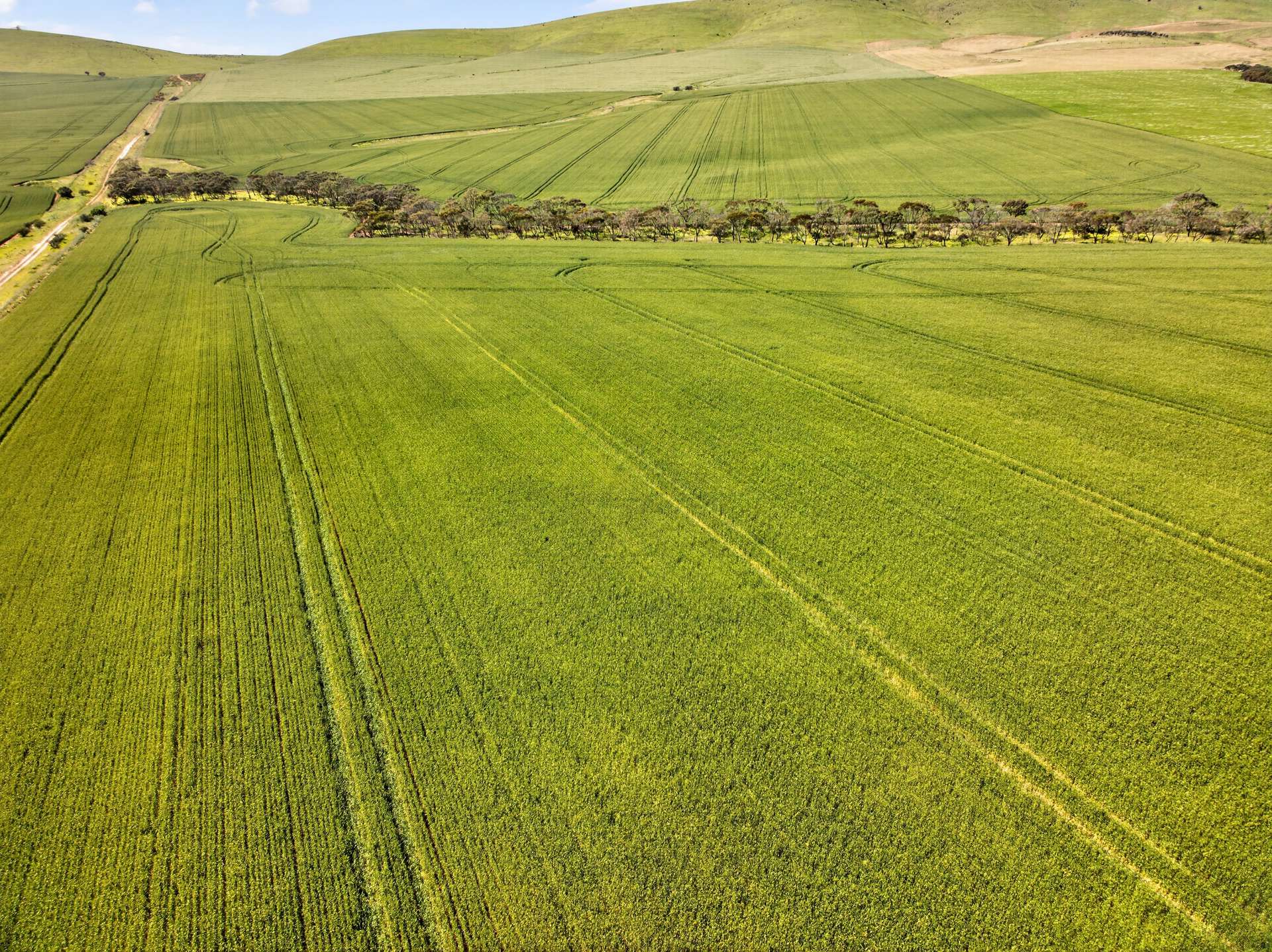'Sharpes Well' Ireland Road, Mundoora For Sale by Farmbuy.com - image 15