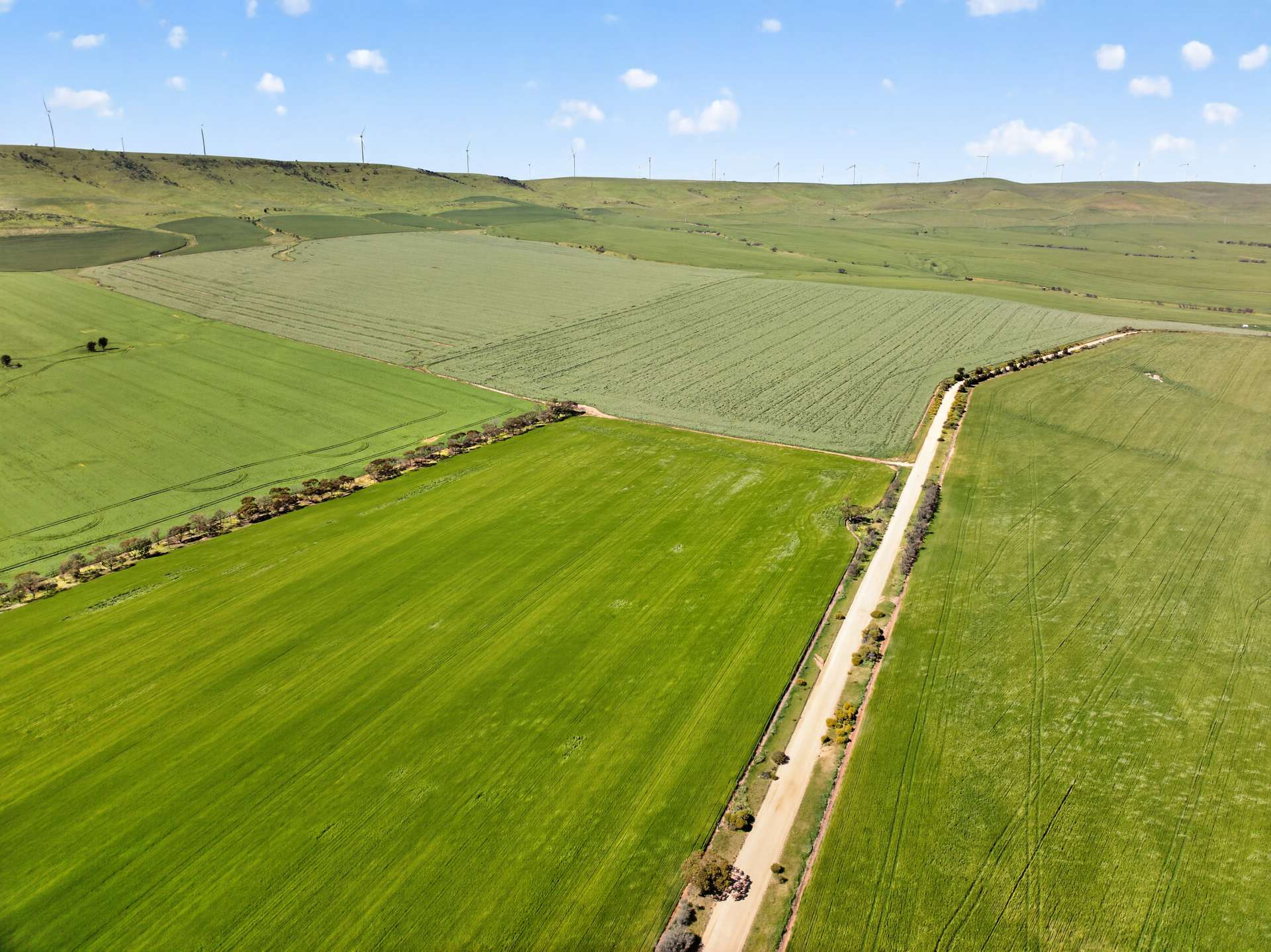 'Sharpes Well' Ireland Road, Mundoora For Sale by Farmbuy.com - image 10