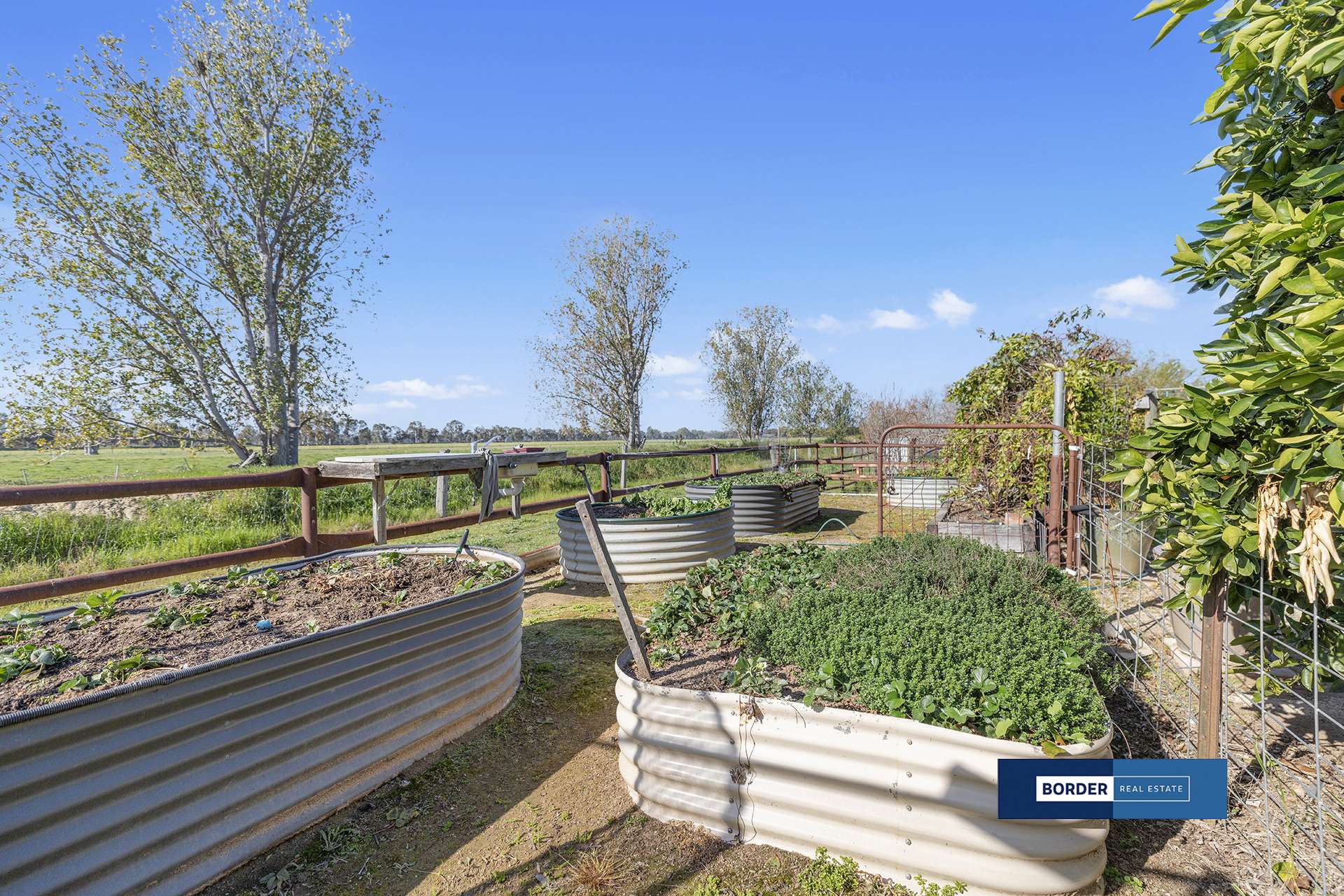 214 Old Deniliquin Road, Moama For Sale by Farmbuy.com - image 23