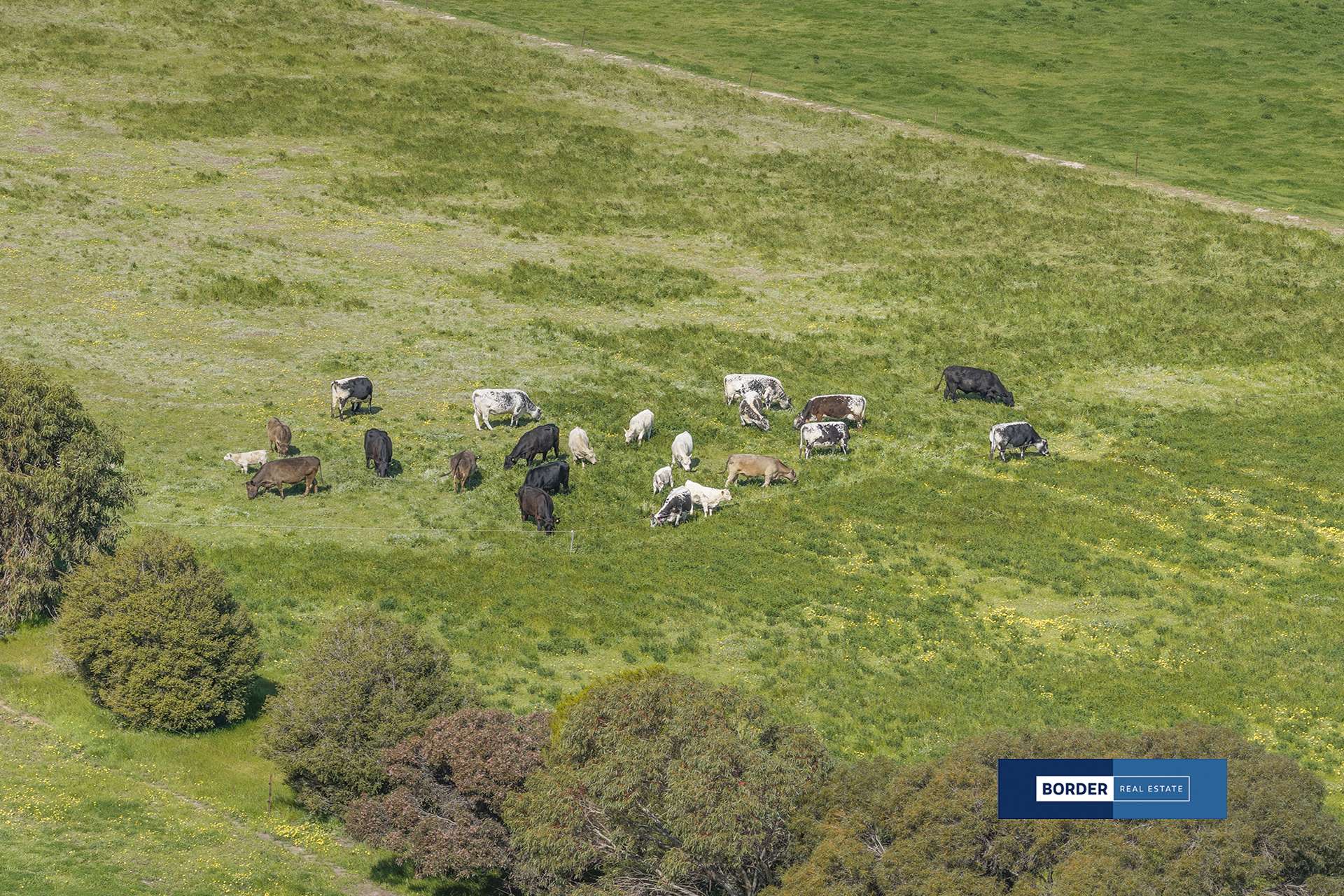 214 Old Deniliquin Road, Moama For Sale by Farmbuy.com - image 26