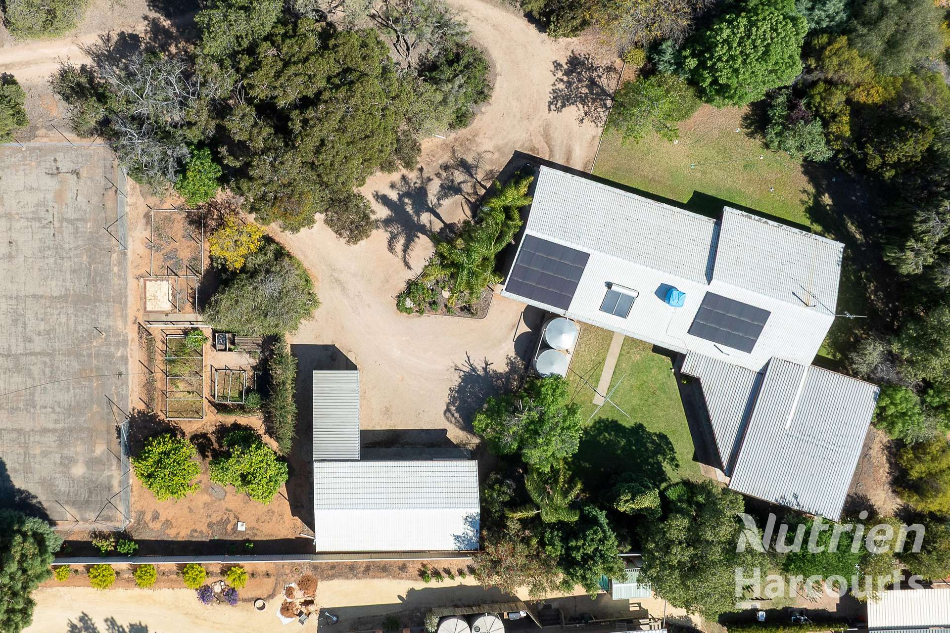63 Murtho Road, Paringa For Sale by Farmbuy.com - image 4