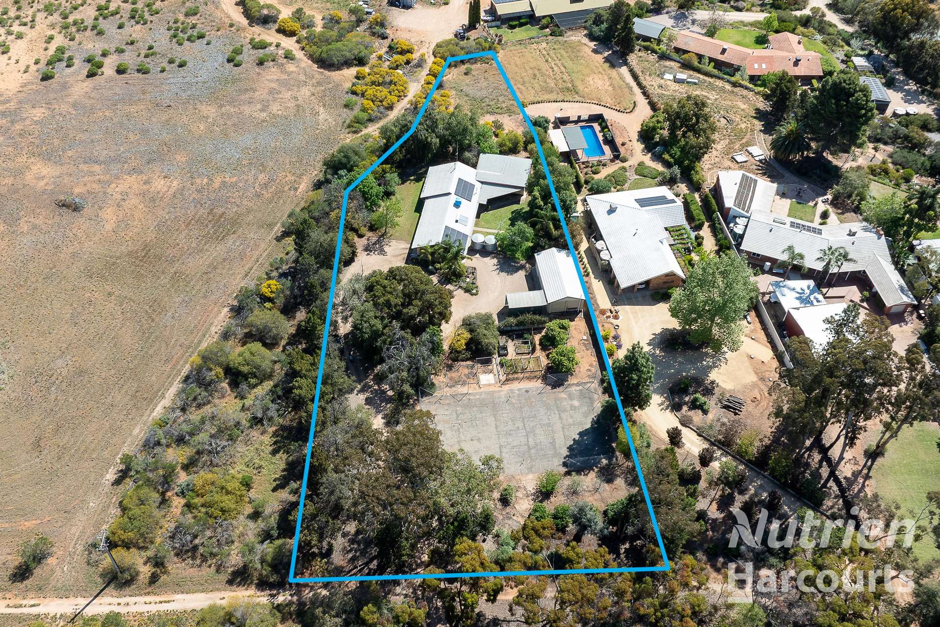 63 Murtho Road, Paringa For Sale by Farmbuy.com - image 1