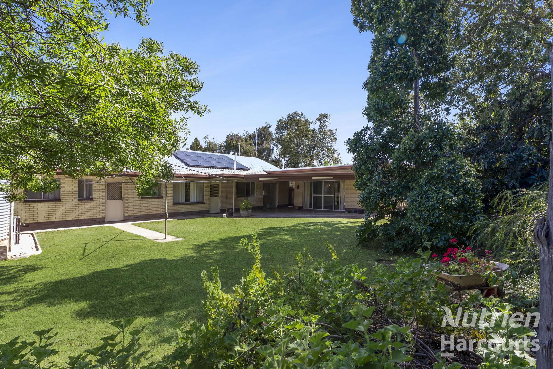 63 Murtho Road, Paringa For Sale by Farmbuy.com - image 5