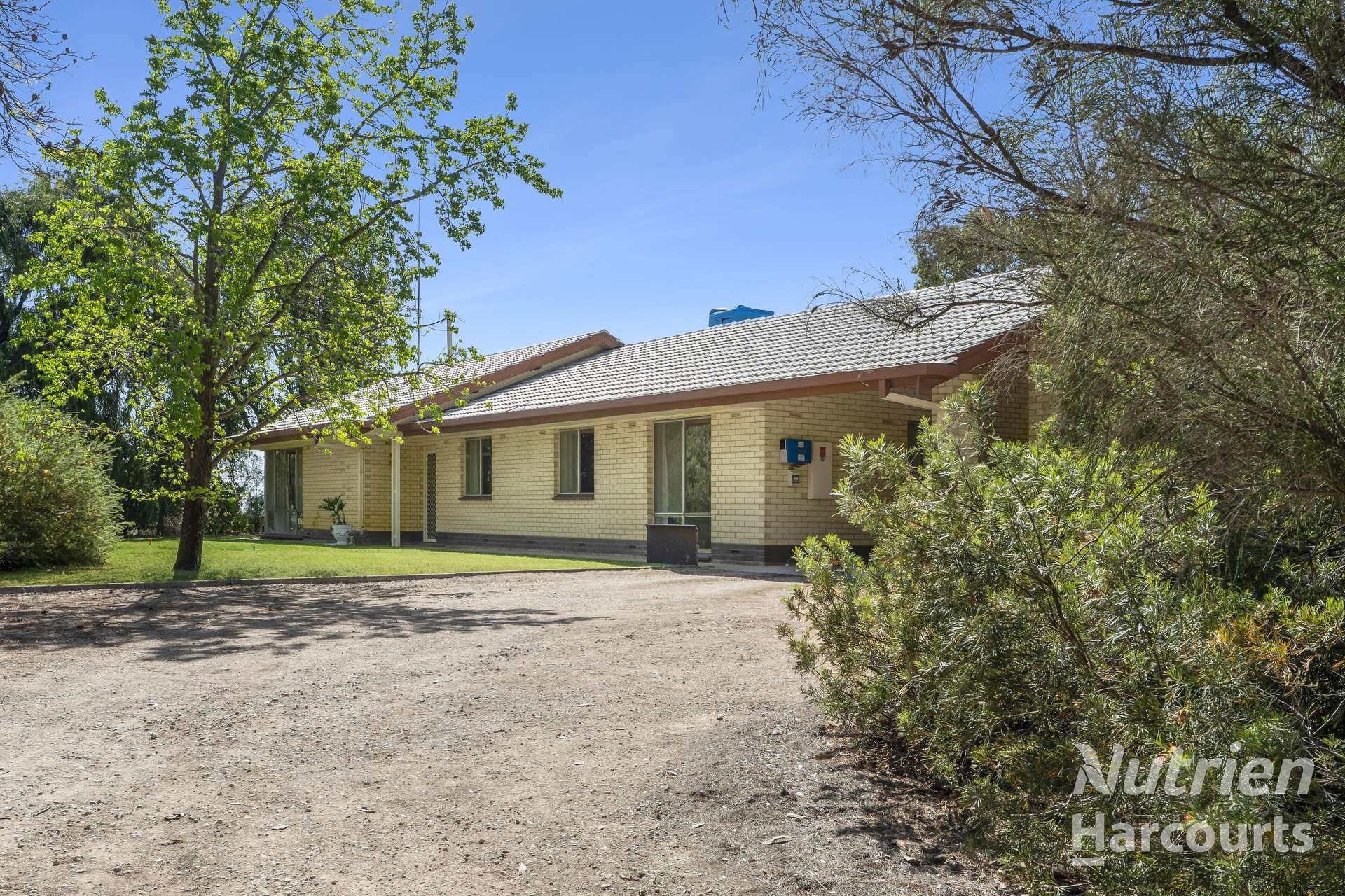 63 Murtho Road, Paringa For Sale by Farmbuy.com - image 2