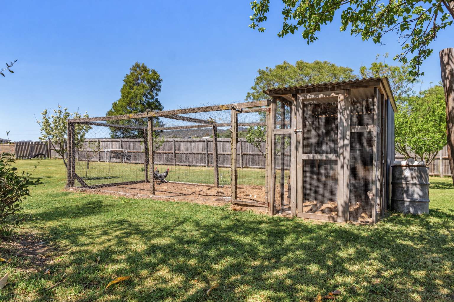 179 Wood Street, Tenterfield Auction by Farmbuy.com - image 24