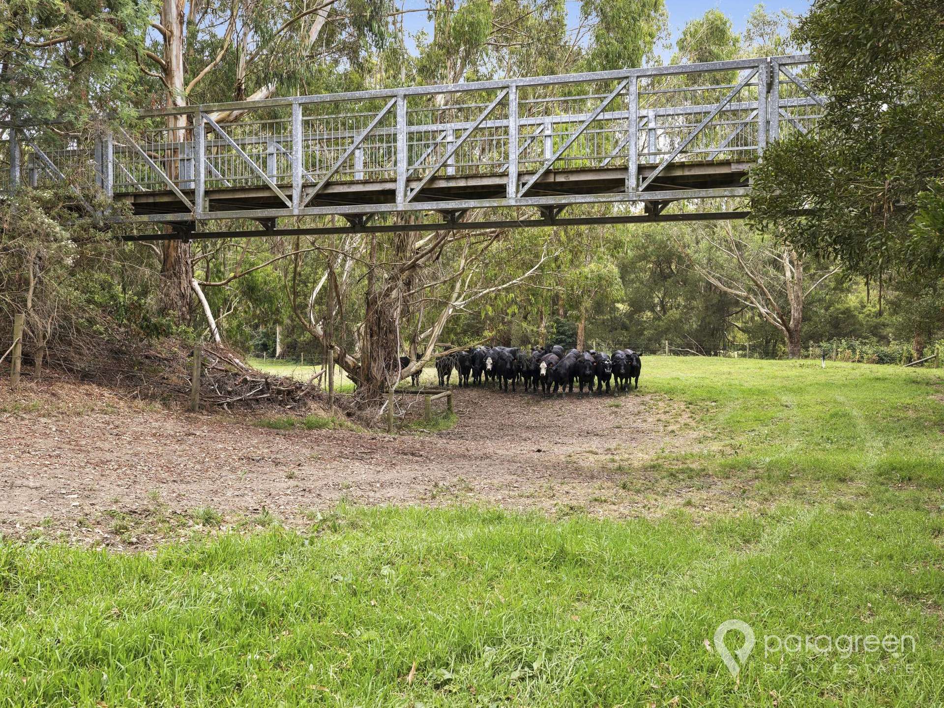 2 OSULLIVANS ROAD, Bennison For Sale by Farmbuy.com - image 9
