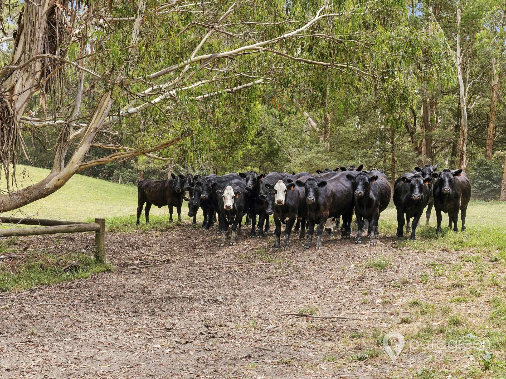 2 OSULLIVANS ROAD, Bennison For Sale by Farmbuy.com - image 11