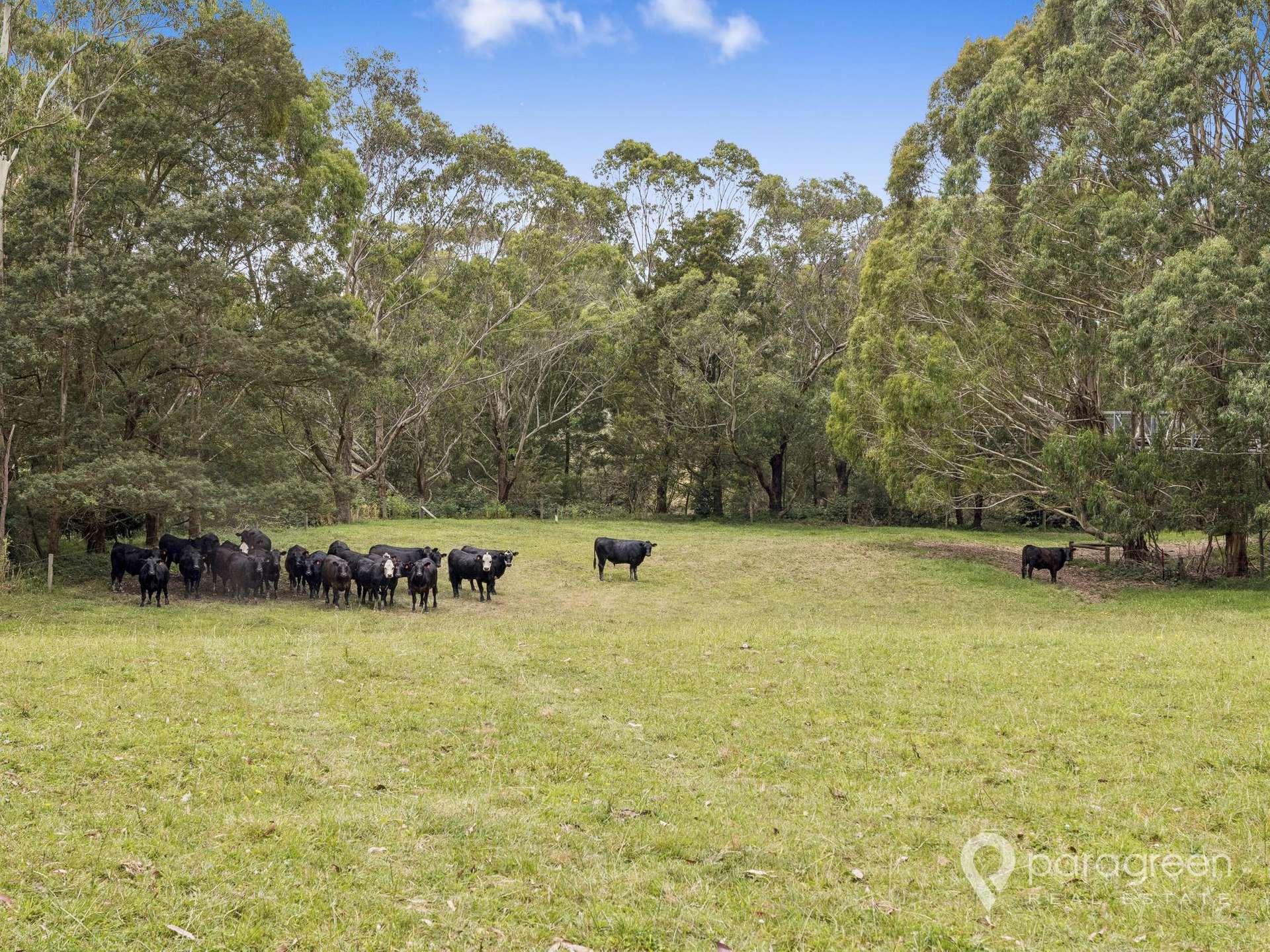 2 OSULLIVANS ROAD, Bennison For Sale by Farmbuy.com - image 13