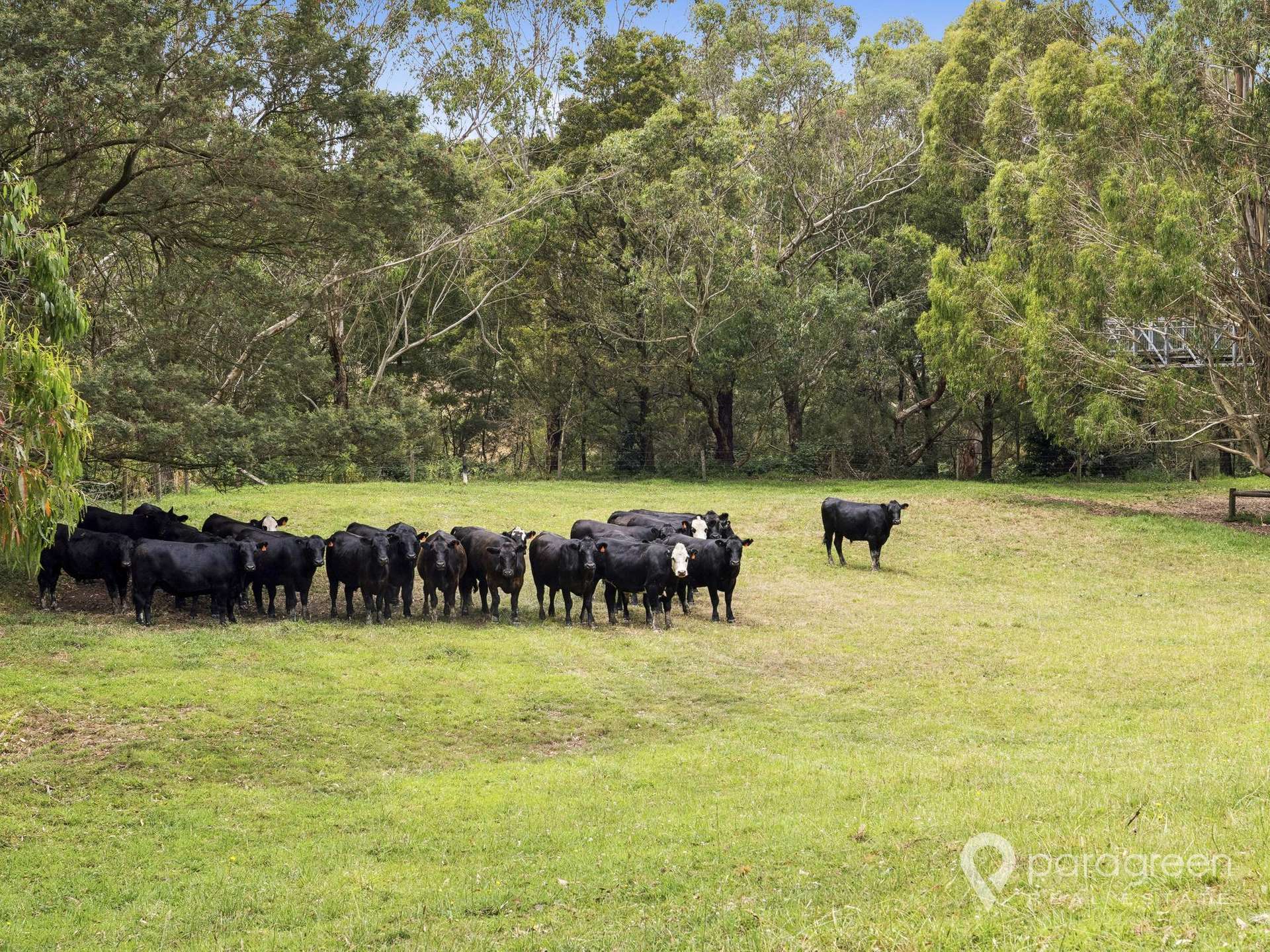 2 OSULLIVANS ROAD, Bennison For Sale by Farmbuy.com - image 20
