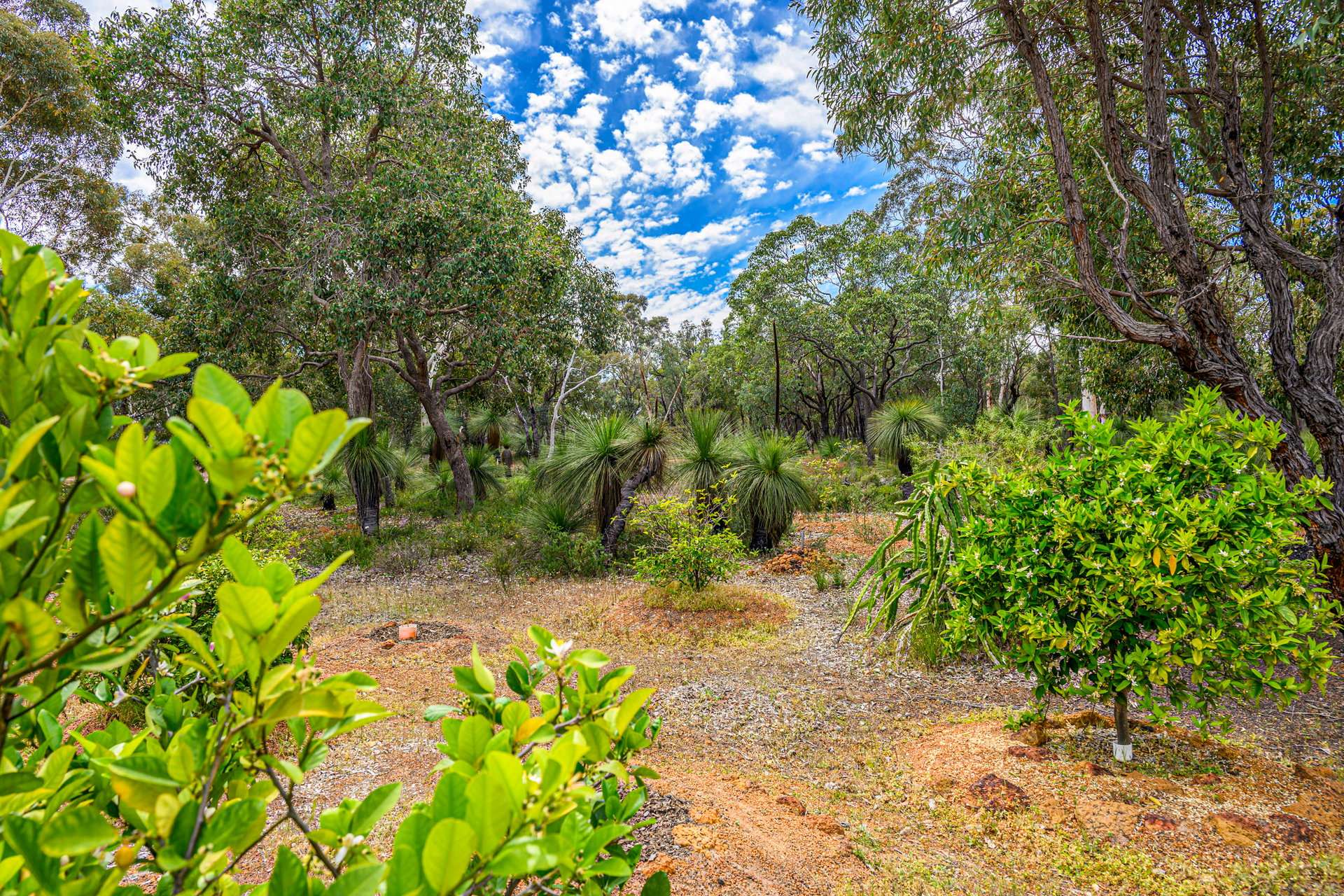 452 Powderbark Road, Lower Chittering For Sale by Farmbuy.com - image 25