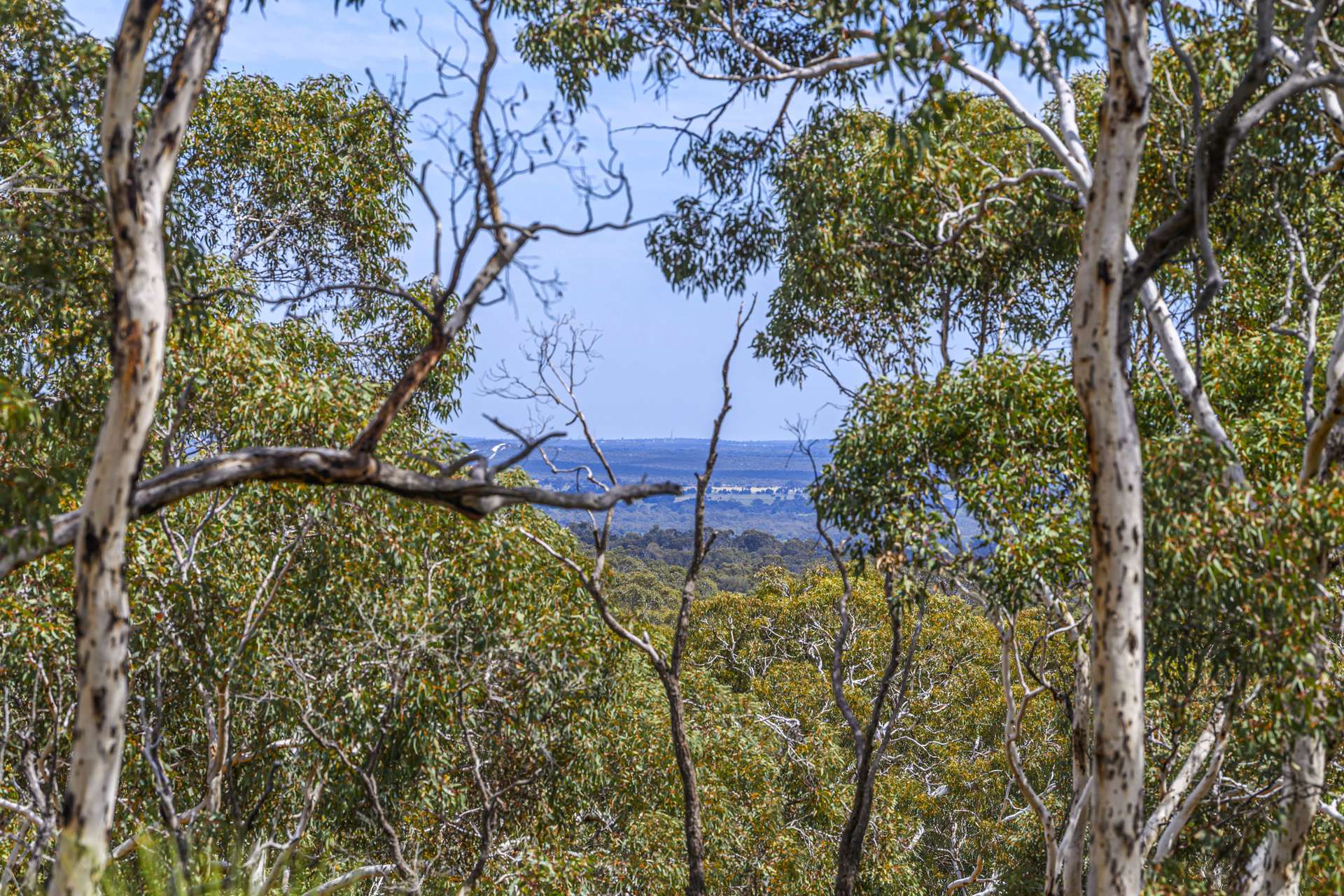 452 Powderbark Road, Lower Chittering For Sale by Farmbuy.com - image 26