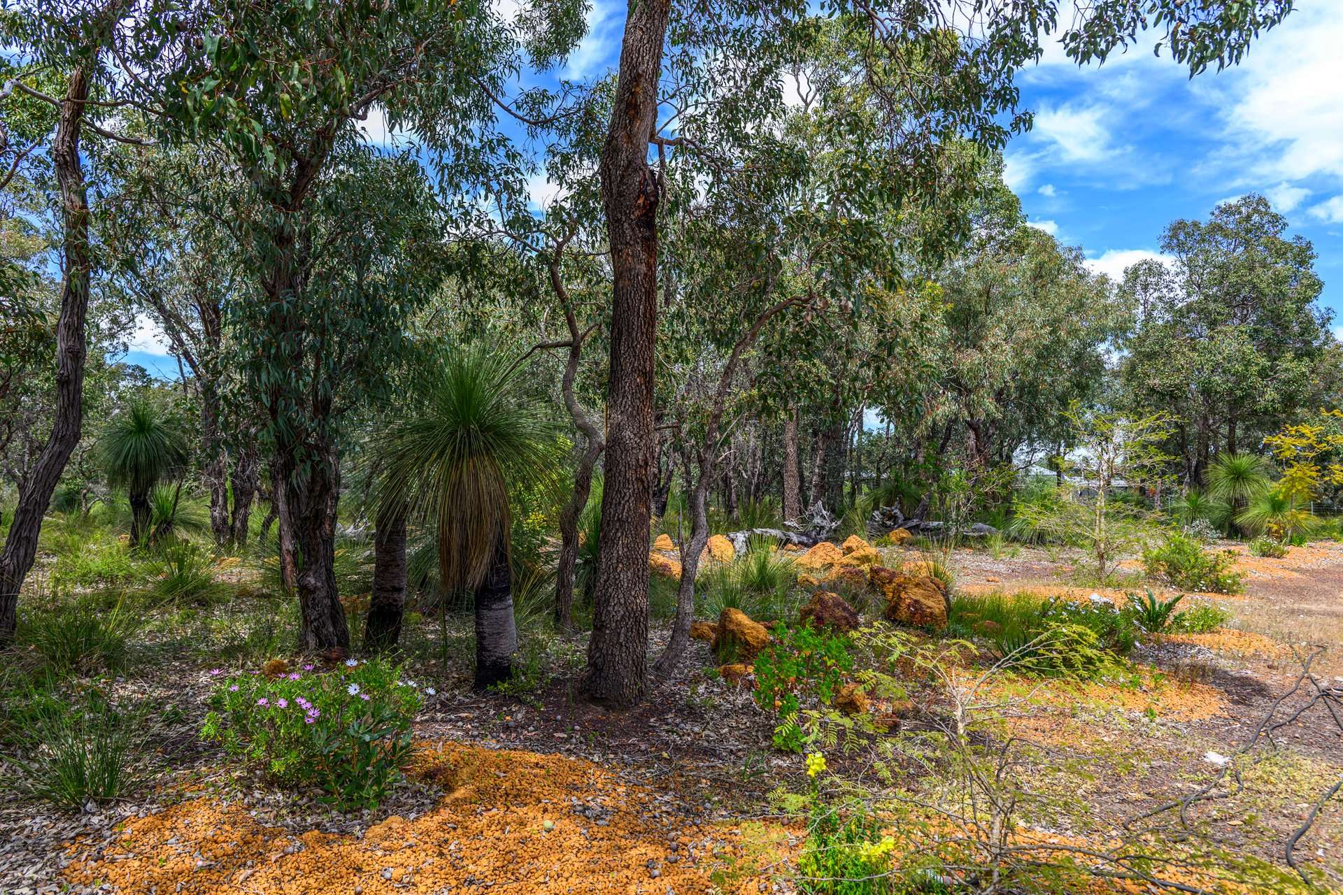 452 Powderbark Road, Lower Chittering For Sale by Farmbuy.com - image 23
