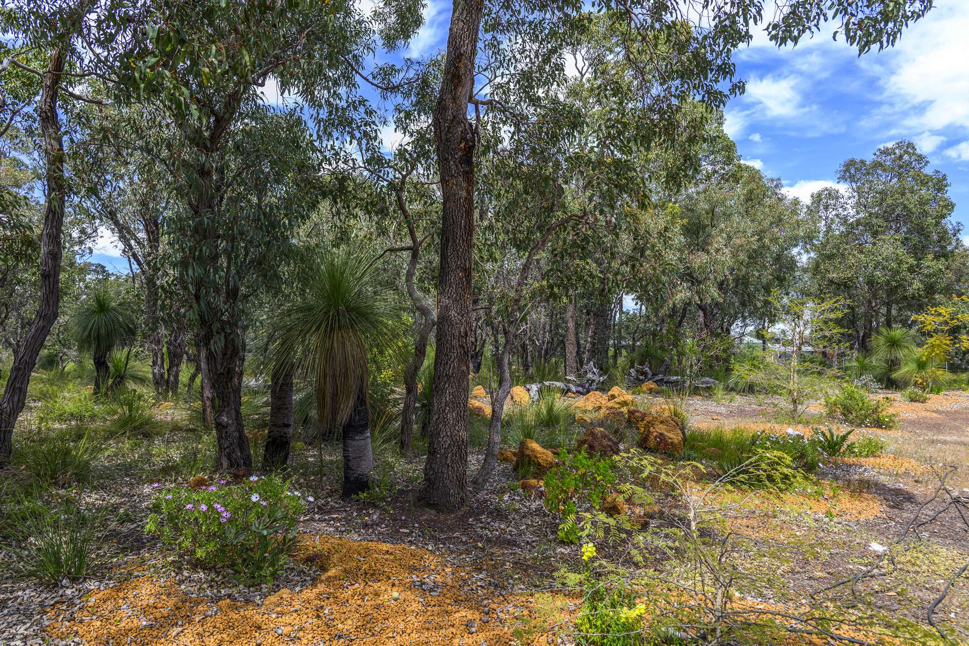 452 Powderbark Road, Lower Chittering For Sale by Farmbuy.com - image 23