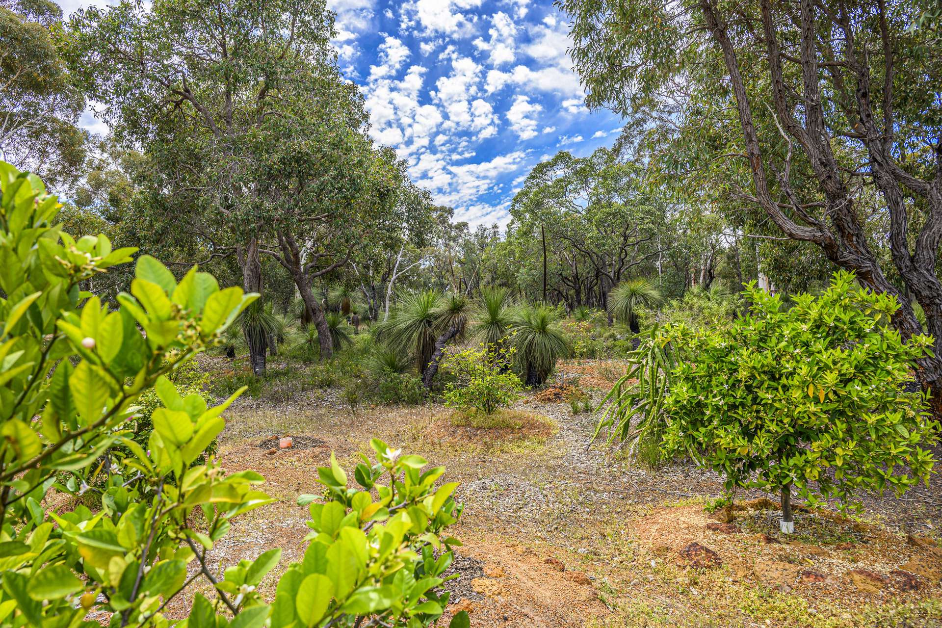 452 Powderbark Road, Lower Chittering For Sale by Farmbuy.com - image 25