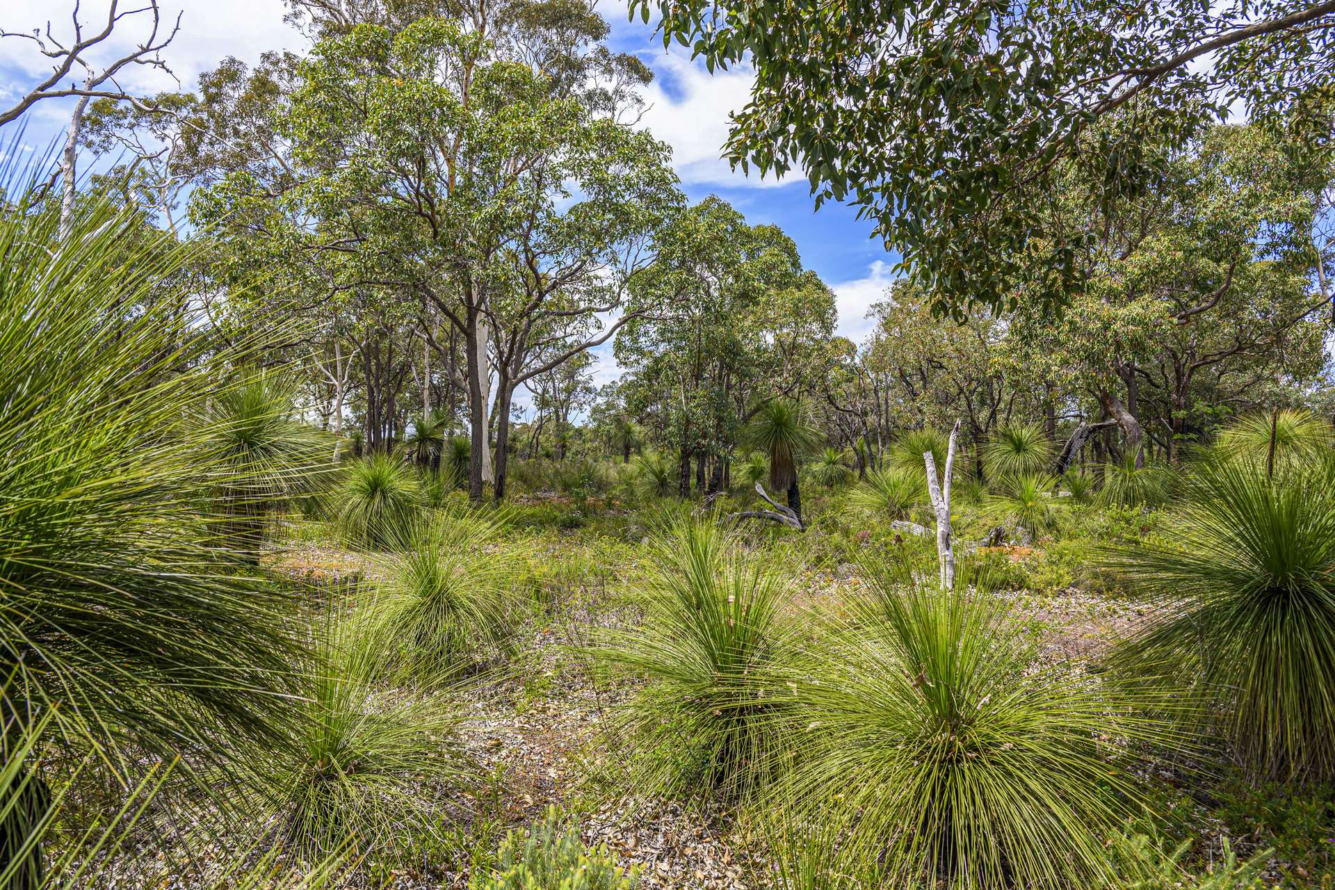 452 Powderbark Road, Lower Chittering For Sale by Farmbuy.com - image 21