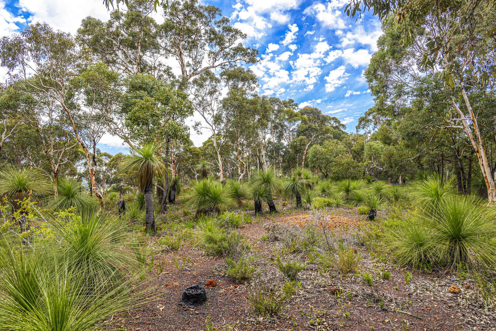 452 Powderbark Road, Lower Chittering For Sale by Farmbuy.com - image 22