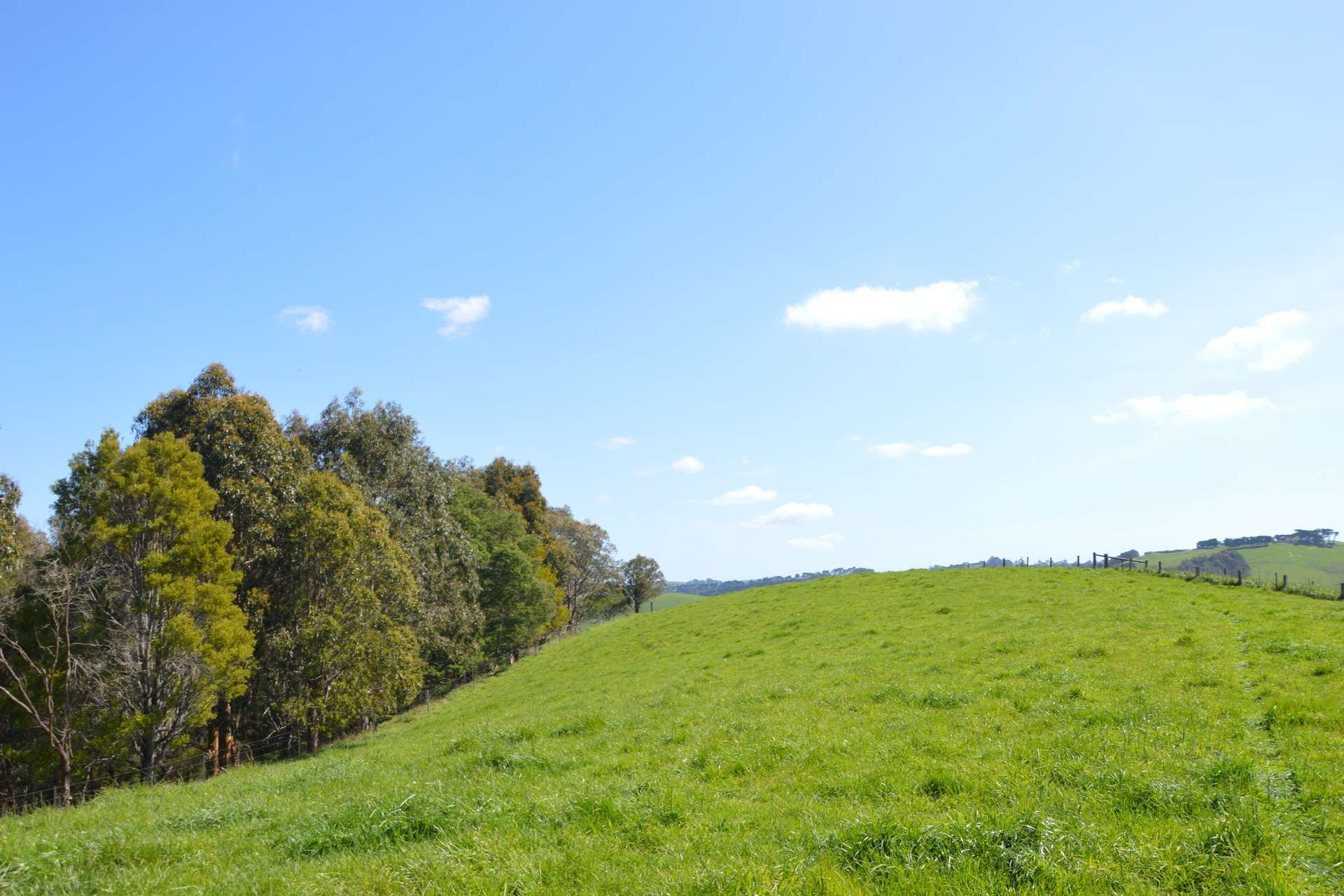 275 Anderson Inlet Road, Moyarra For Sale by Farmbuy.com - image 4