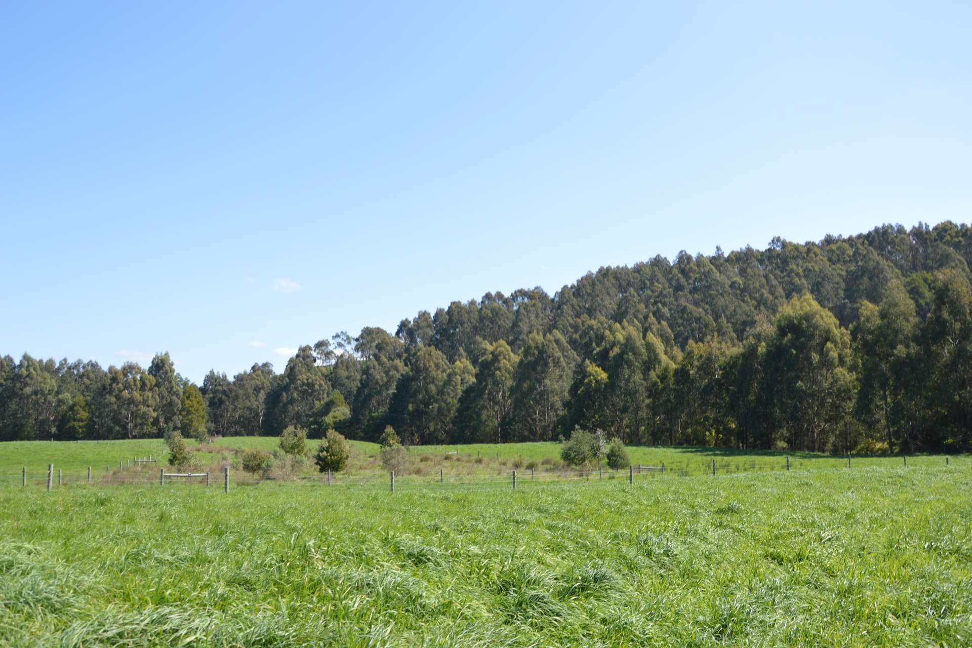 275 Anderson Inlet Road, Moyarra For Sale by Farmbuy.com - image 25