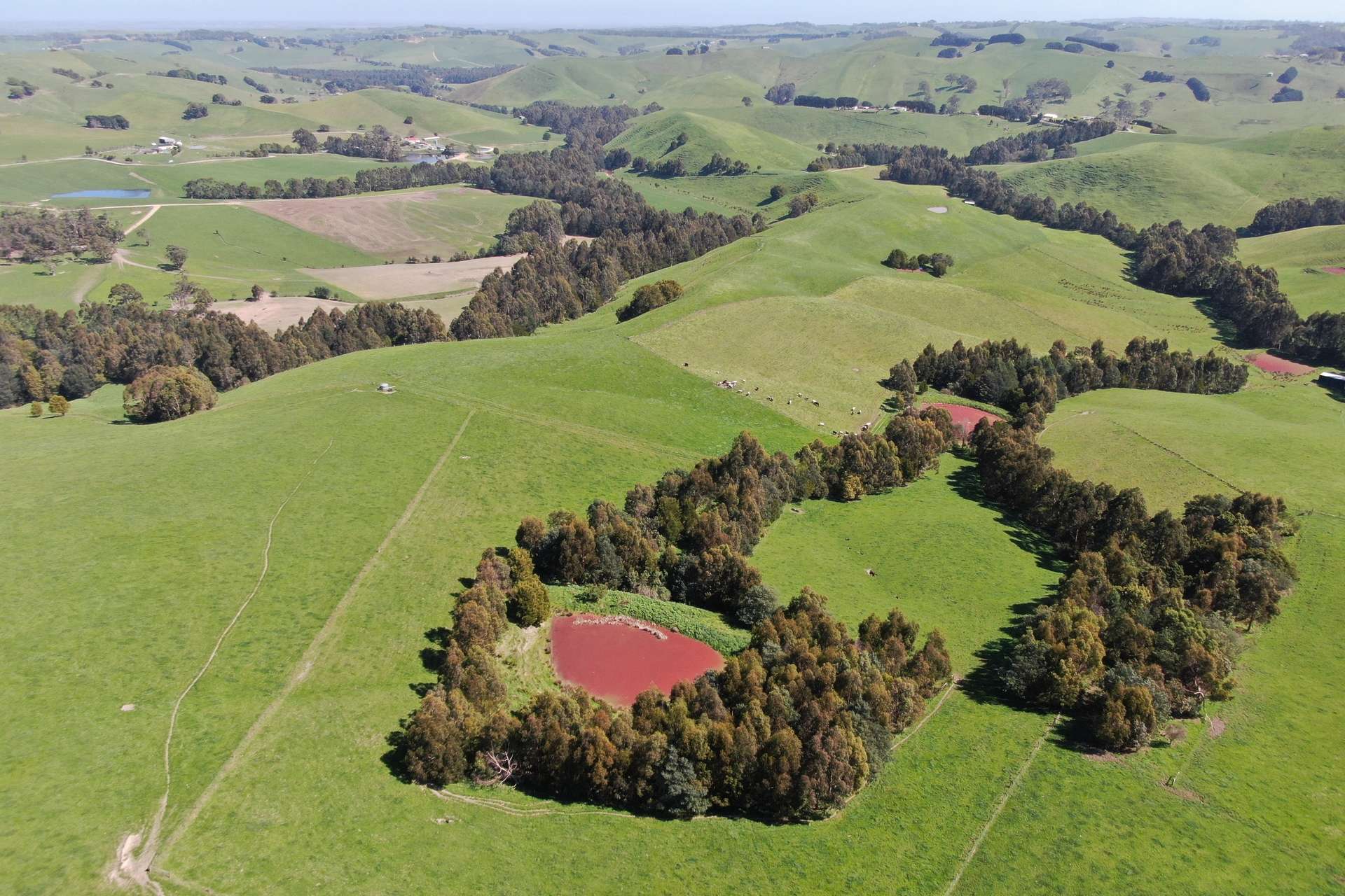 275 Anderson Inlet Road, Moyarra For Sale by Farmbuy.com - image 3