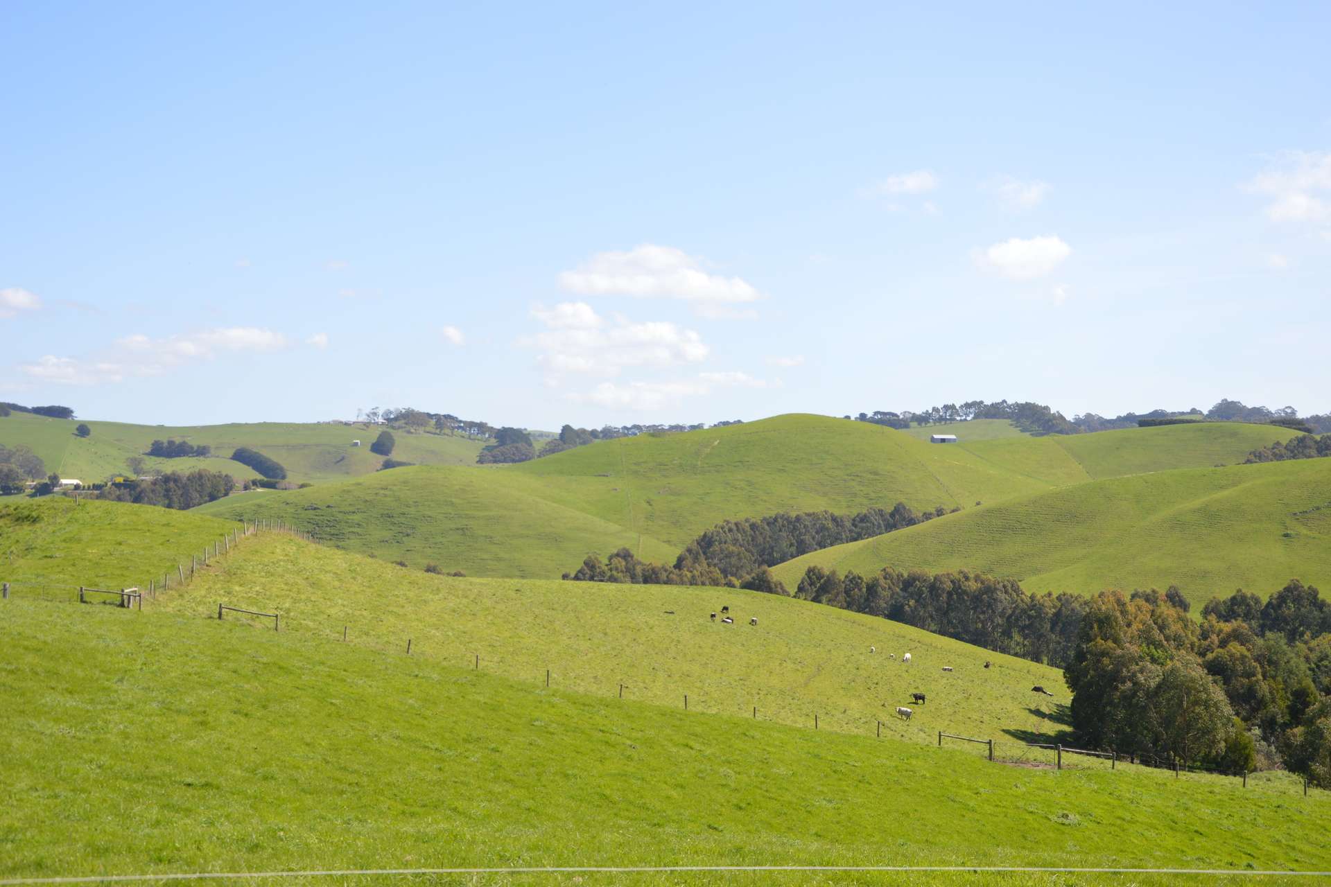 275 Anderson Inlet Road, Moyarra For Sale by Farmbuy.com - image 28