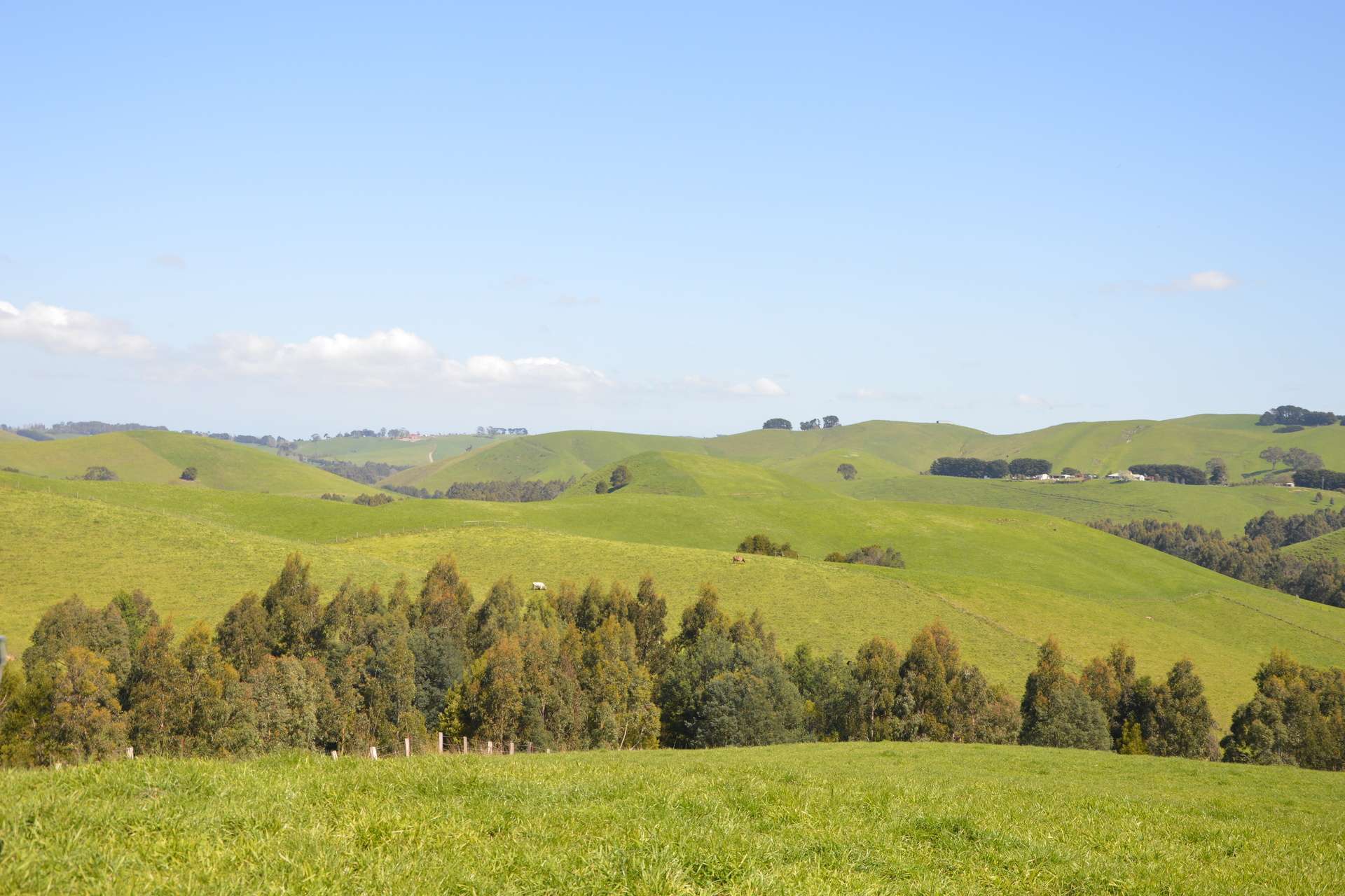 275 Anderson Inlet Road, Moyarra For Sale by Farmbuy.com - image 29