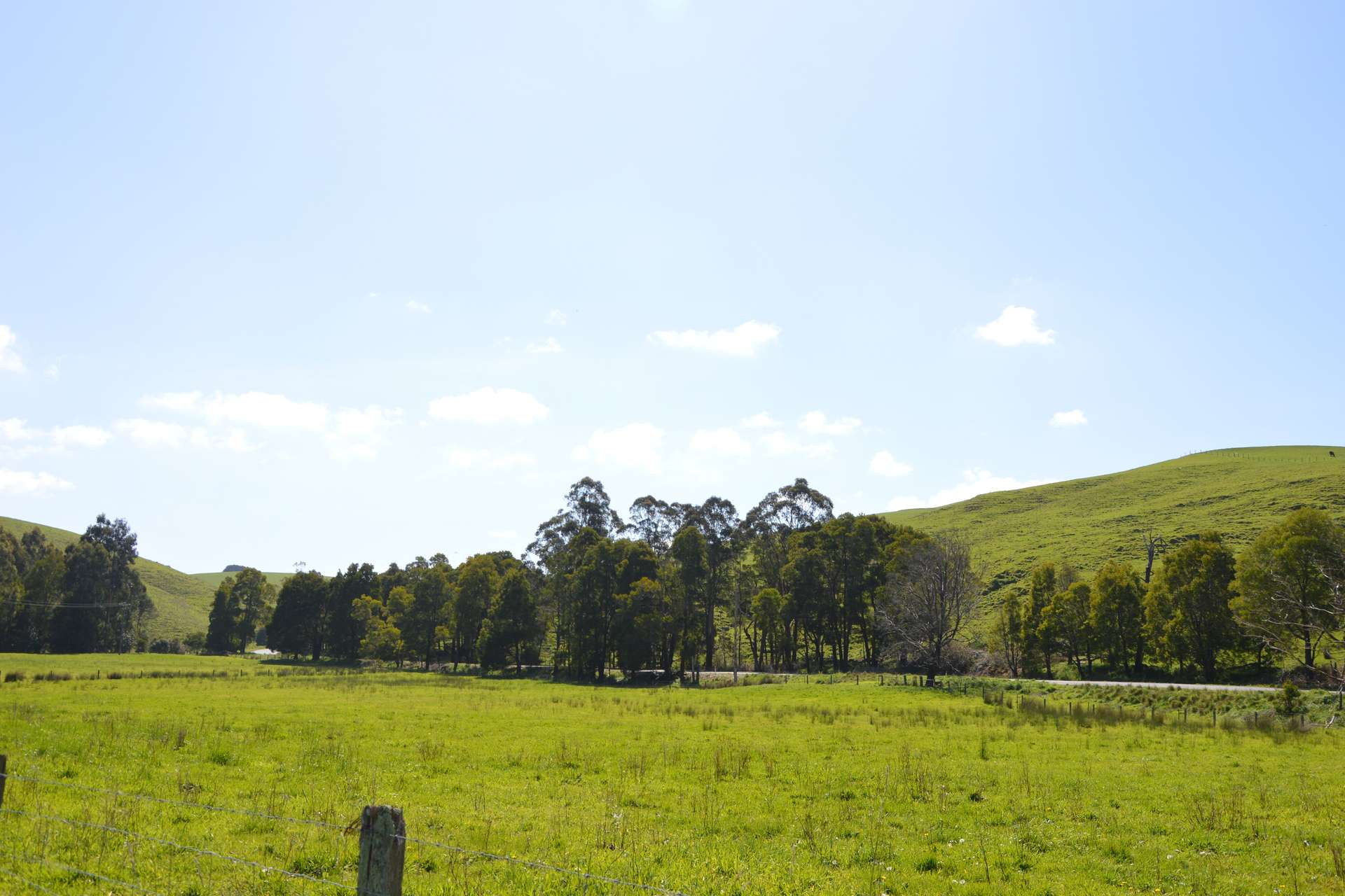 275 Anderson Inlet Road, Moyarra For Sale by Farmbuy.com - image 31