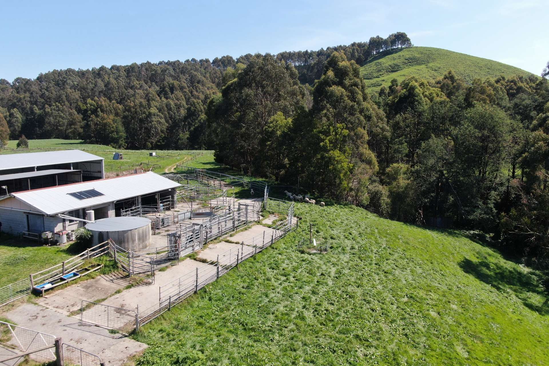 275 Anderson Inlet Road, Moyarra For Sale by Farmbuy.com - image 16