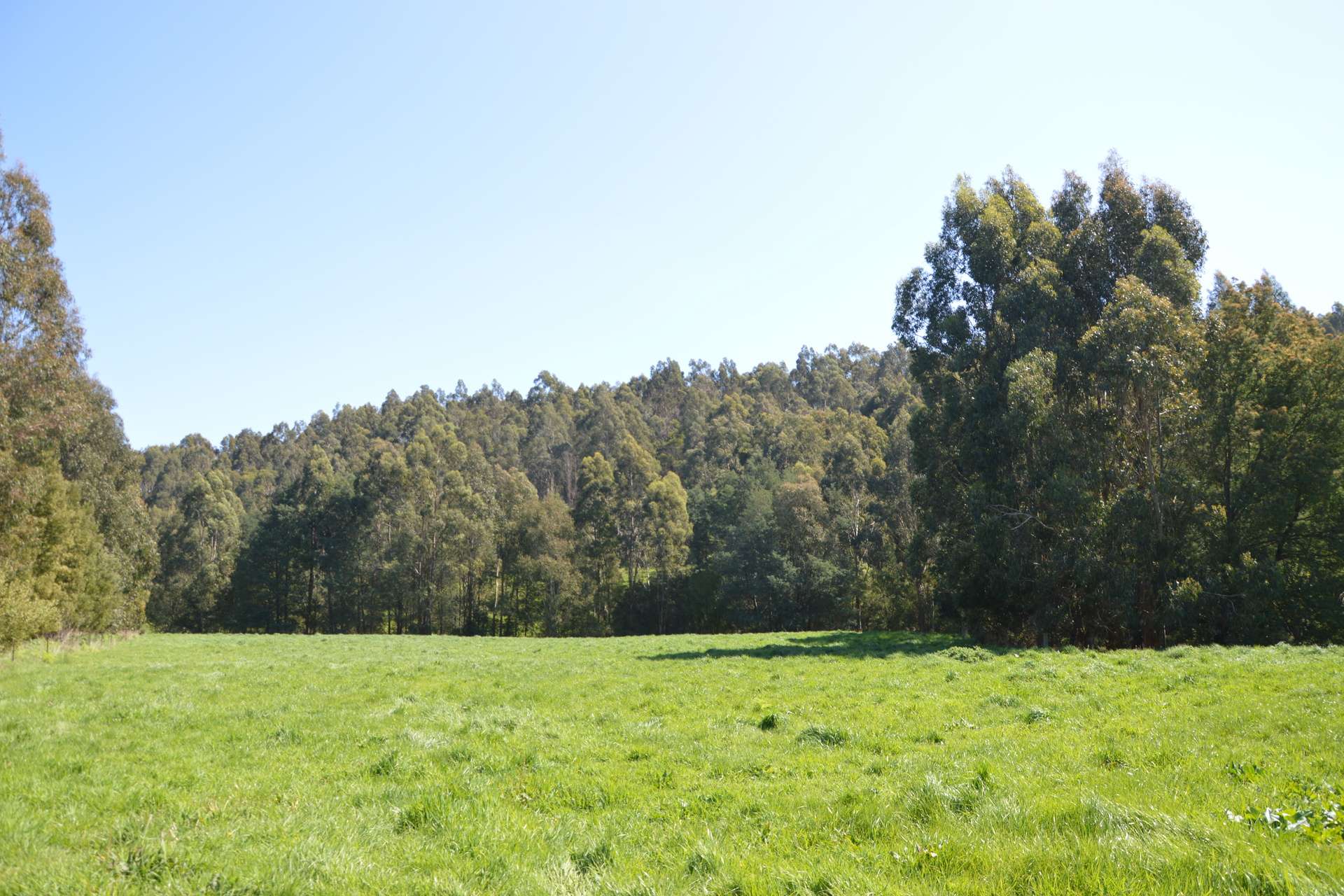 275 Anderson Inlet Road, Moyarra For Sale by Farmbuy.com - image 2