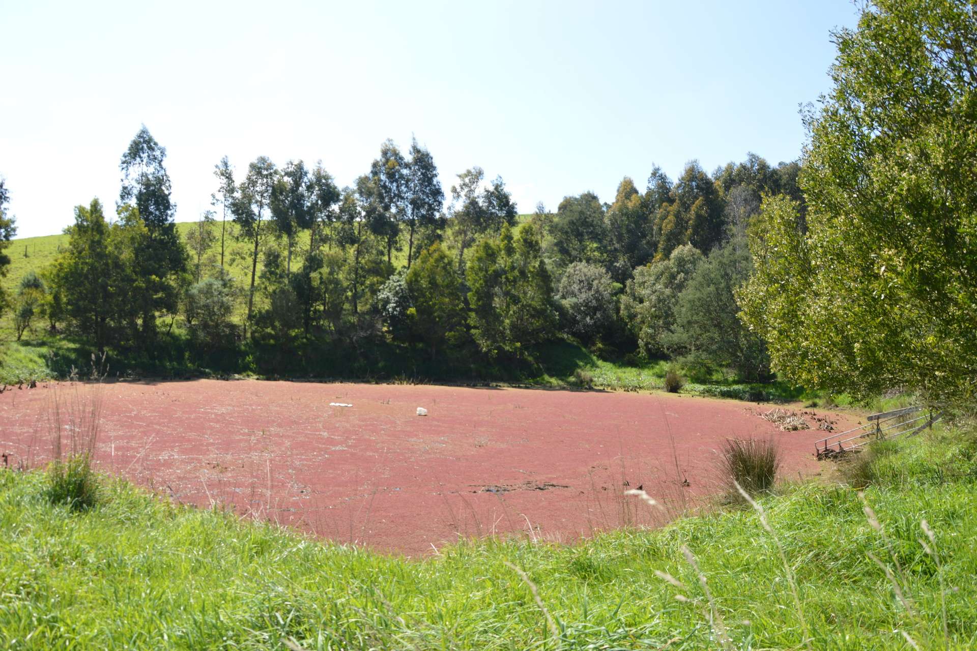 275 Anderson Inlet Road, Moyarra For Sale by Farmbuy.com - image 27
