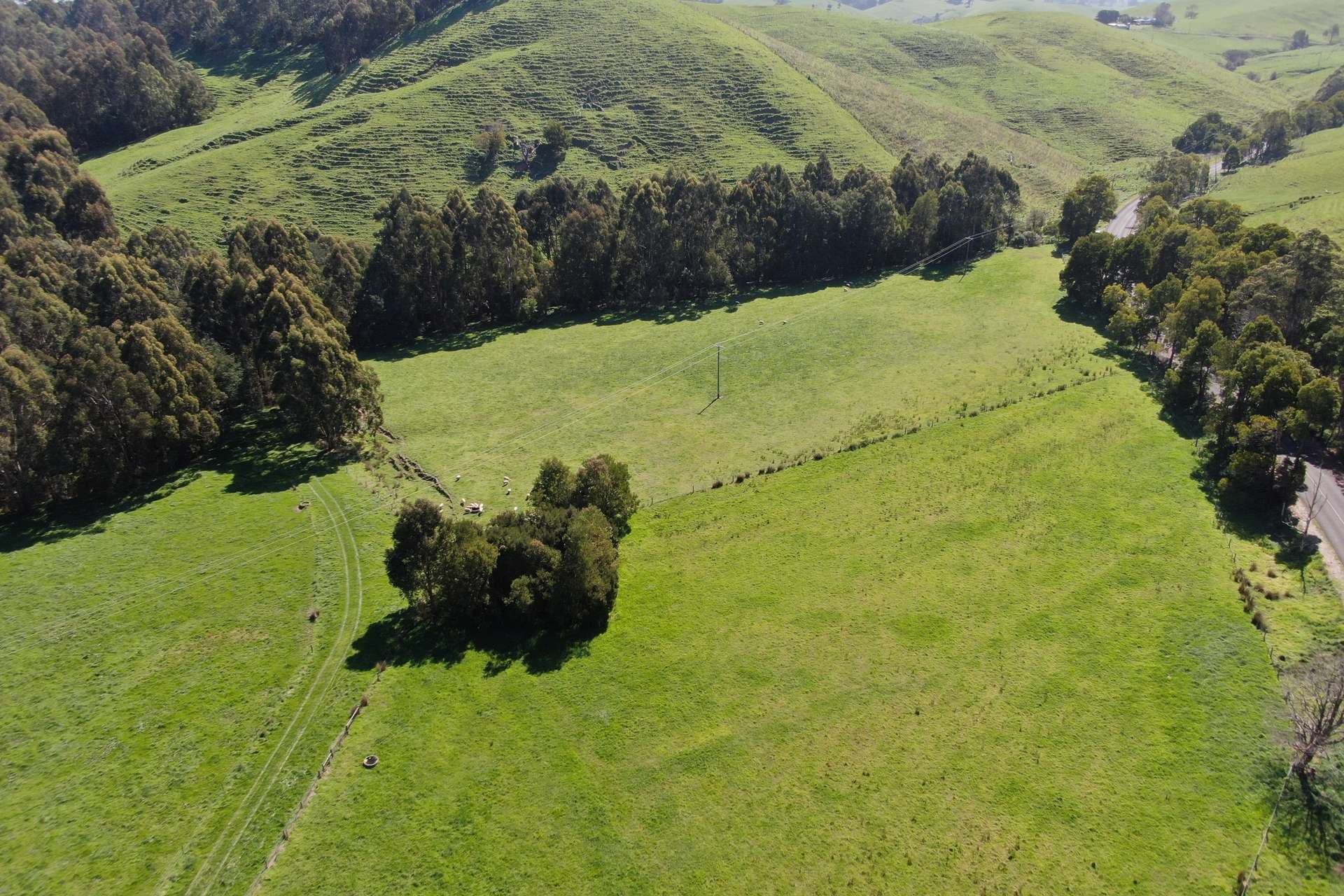275 Anderson Inlet Road, Moyarra For Sale by Farmbuy.com - image 30